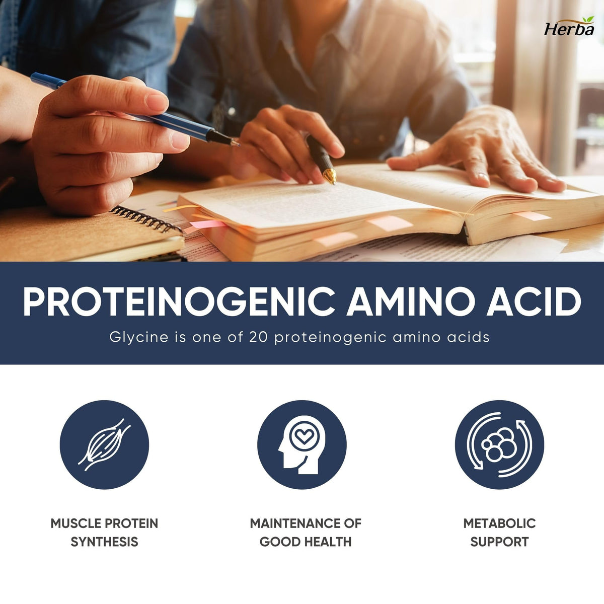 Herba Glycine Supplement 750mg - 180 Capsules | >99% Ultra Pure Glycine Capsules | Free-form Proteinogenic Amino Acids Supplements | Made in Canada 🍁 All In One Marketplace Canada
