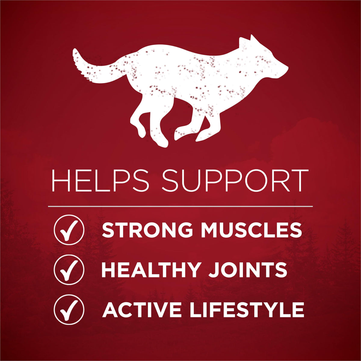 Purina ONE True Instinct Dry Dog Food, Chicken & Duck 6kg 🍁 All In One Marketplace Canada