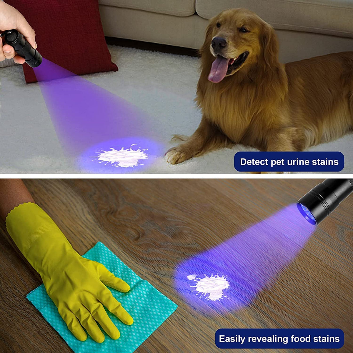 MegaPower (TM) UV Flashlight Black Light 12 LED 395nm Hand-held Detecting Torch for Pet Urine, Stains, Verifying Money Documents, Black 🍁 All In One Marketplace Canada