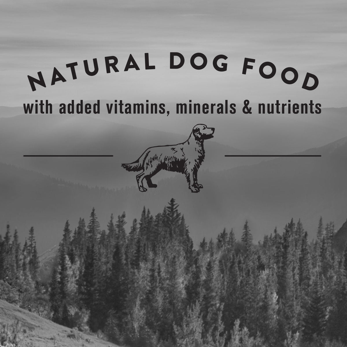 Nature's Recipe Adult Grain Free Natural Dry Dog Food Lamb, Sweet Potato & Pumpkin Recipe 10.8 kg (Pack of 1) 🍁 All In One Marketplace Canada