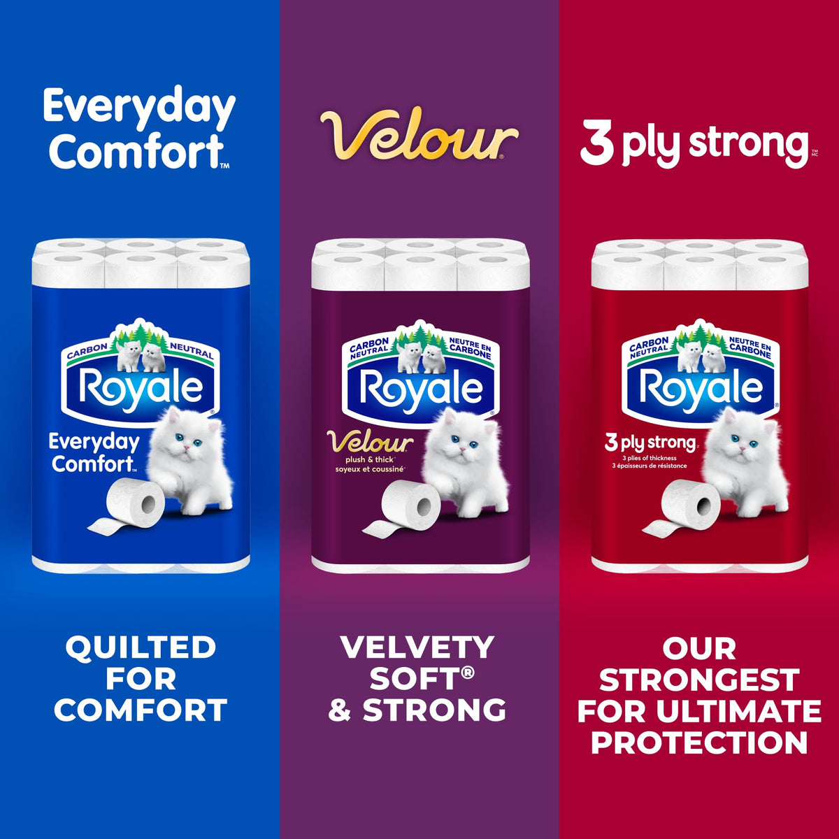 Royale 3-Ply Strong Toilet Paper, 48 Equal 96 Rolls, 165 Bathroom Tissues per roll 🍁 All In One Marketplace Canada