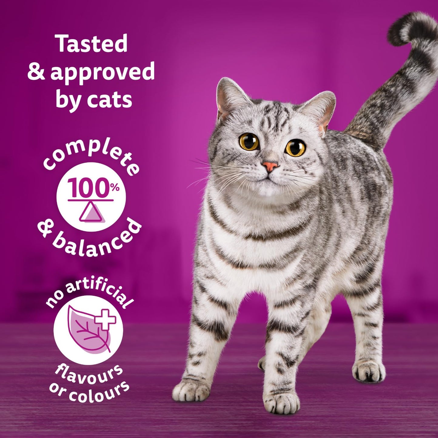WHISKAS Meaty Selections Dry Cat Food with Real Chicken, Large 9.1kg Bag 🍁 All In One Marketplace Canada