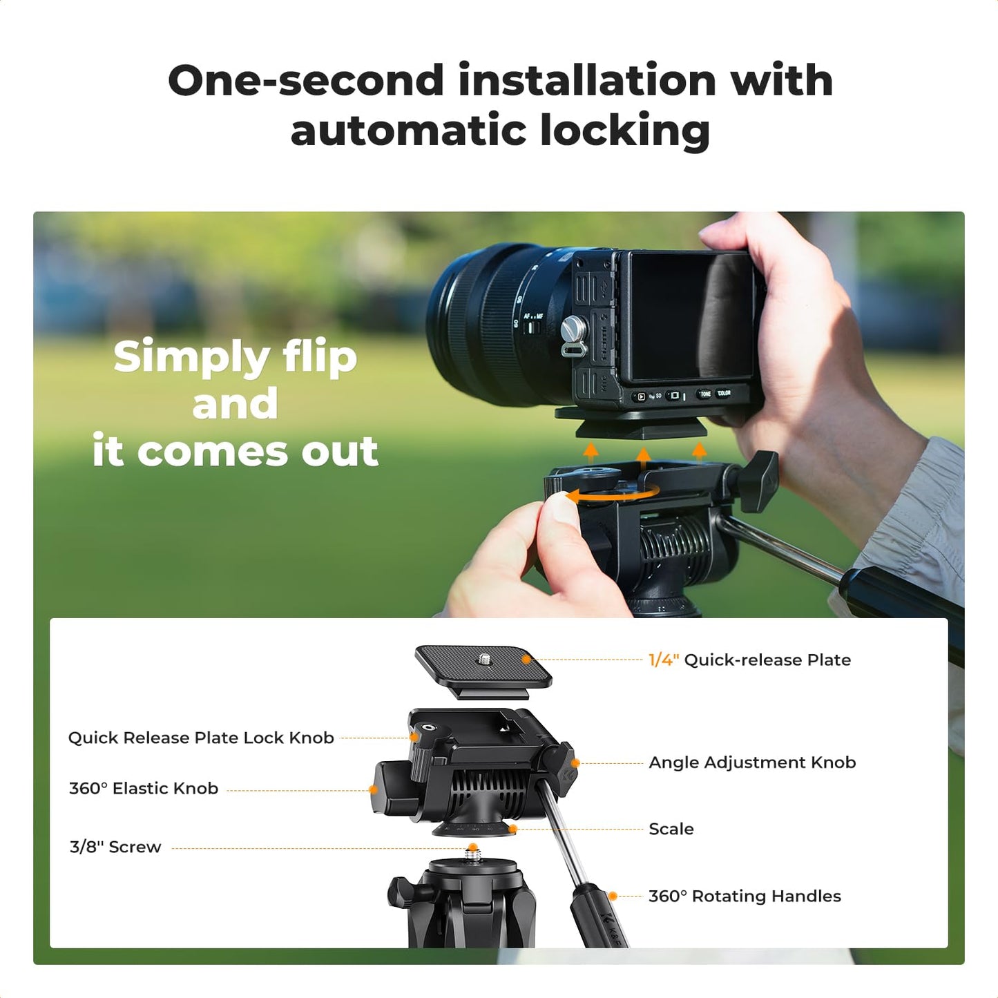 K&F CONCEPT 75" Lightweight Tripod, Camera Compact Tripod with Remote and 2-in-1 Phone Holder,Travel Phone Tripod with Removable 3-Way Pan Head for Selfie/Video Recording/Photo/Live Stream/Vlog 🍁 All In One Marketplace Canada