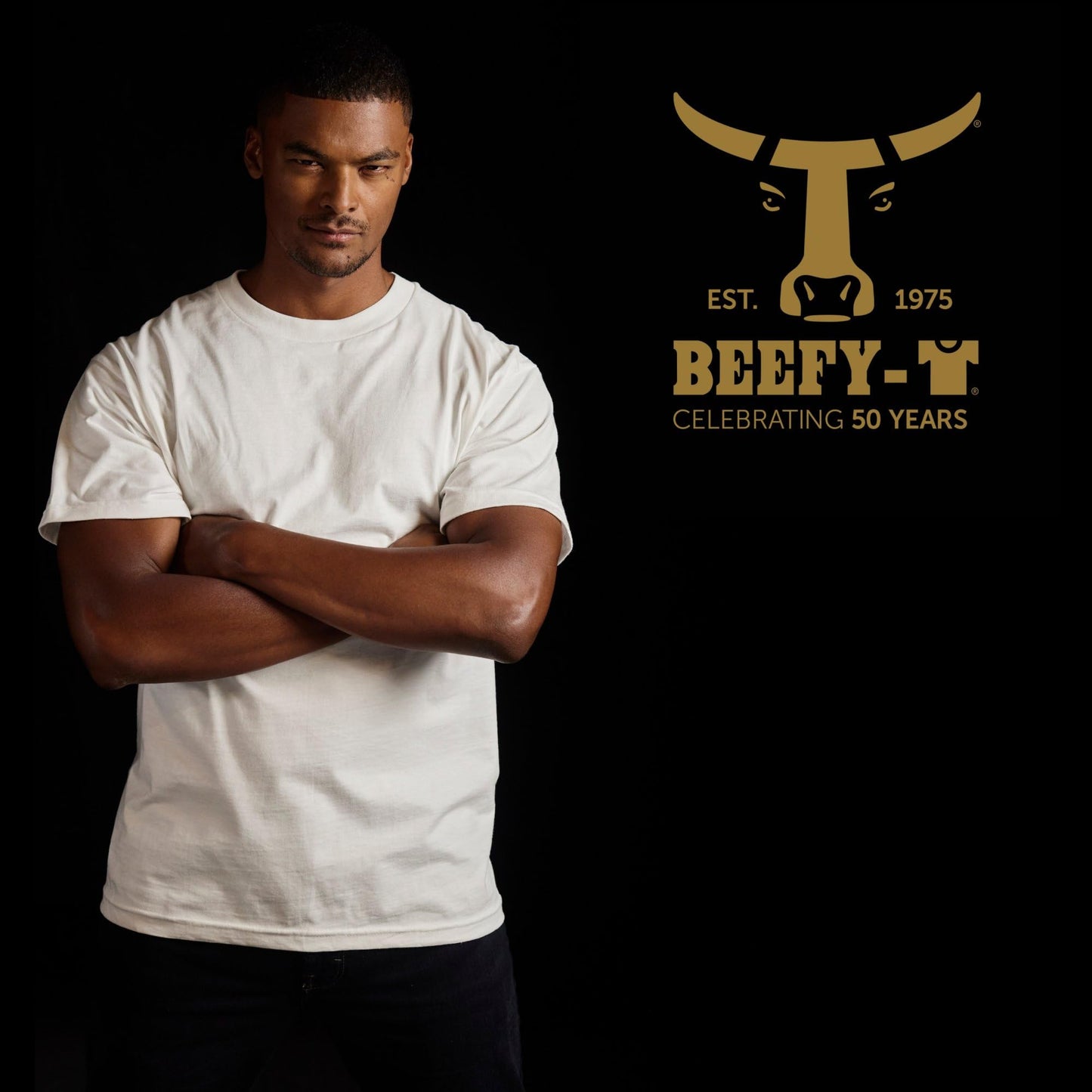 Hanes Mens Men's Beefy Tall Short Sleeve Tee Value Pack (2-Pack) Fashion t Shirts, Black, 3X-Large Tall US 🍁 All In One Marketplace Canada