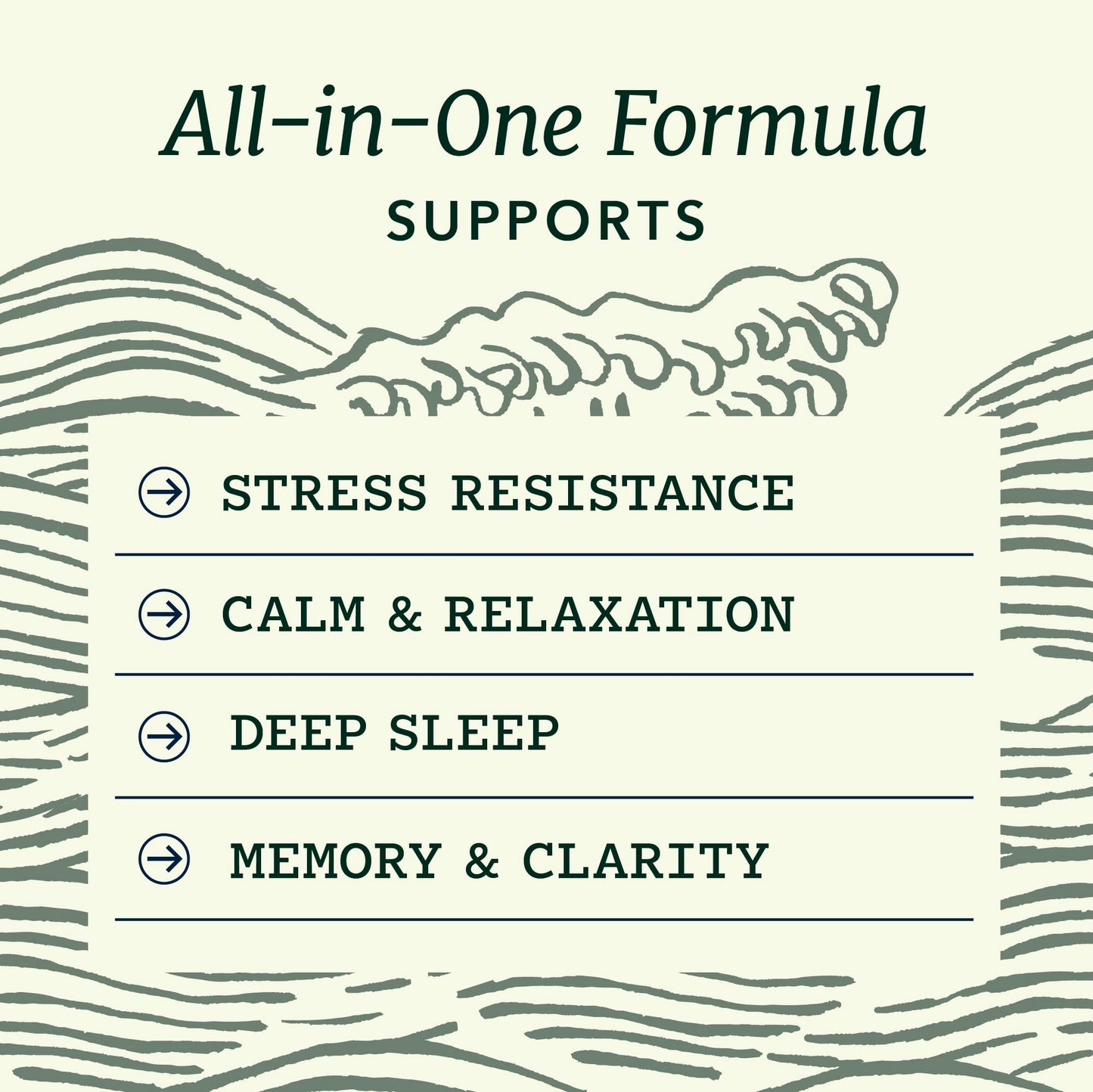 L Theanine, Magnesium Glycinate + Ashwagandha Supplement | Relaxation, Sleep & Memory Support | Stress Relief, Calm, Mood & Sleep Supplements | Made in Canada & Non-GMO | 120 Ct 🍁 All In One Marketplace Canada