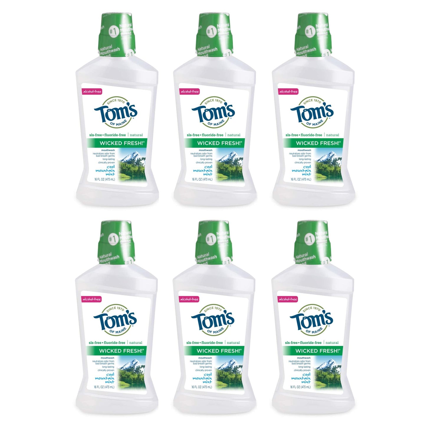 Tom's of Maine Wicked Fresh! Natural Fluoride Free Mouthwash, Cool Mountain Mint, 473ml, 6 pack 🍁 All In One Marketplace Canada