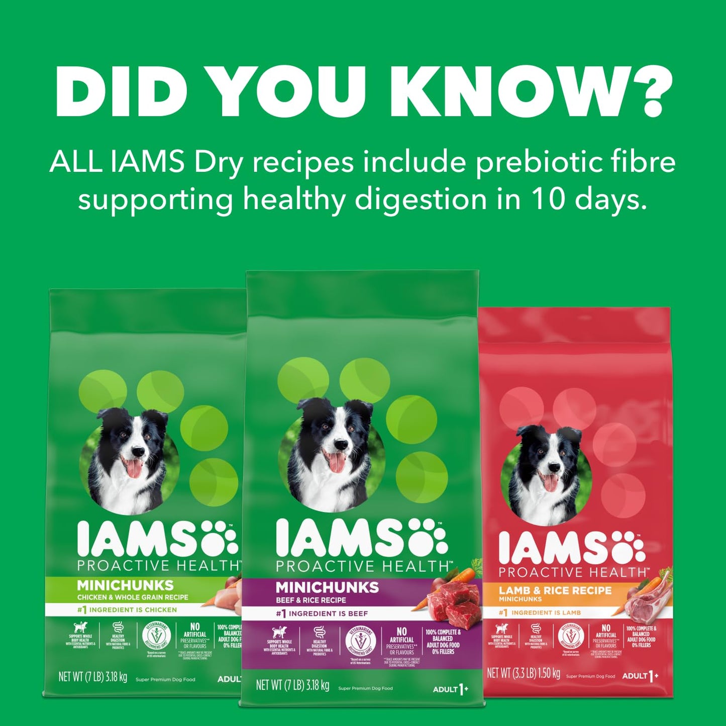 IAMS Proactive Health Minichunks Dry Dog Food – Crunchy Kibble For Adult Dogs – Lamb & Rice Recipe – 13.6KG (30LB) Bag 🍁 All In One Marketplace Canada