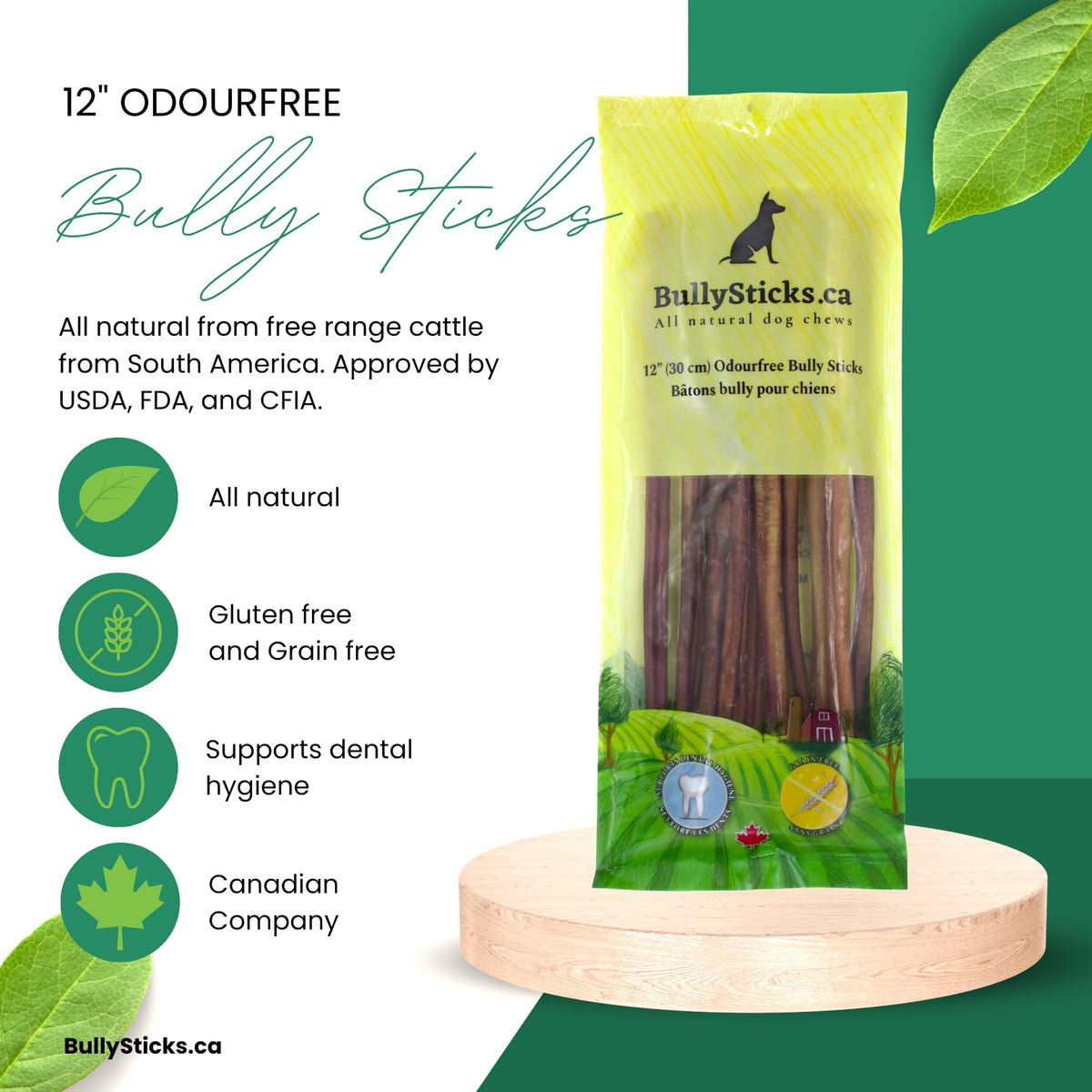ODOURFREE 12" Standard Bully Sticks for Dogs (10 Pack) Dental Chew - Rawhide Free - Supports Dental Hygiene - Single Beef Ingredient - Consistent Size - Canadian Company 🍁 All In One Marketplace Canada