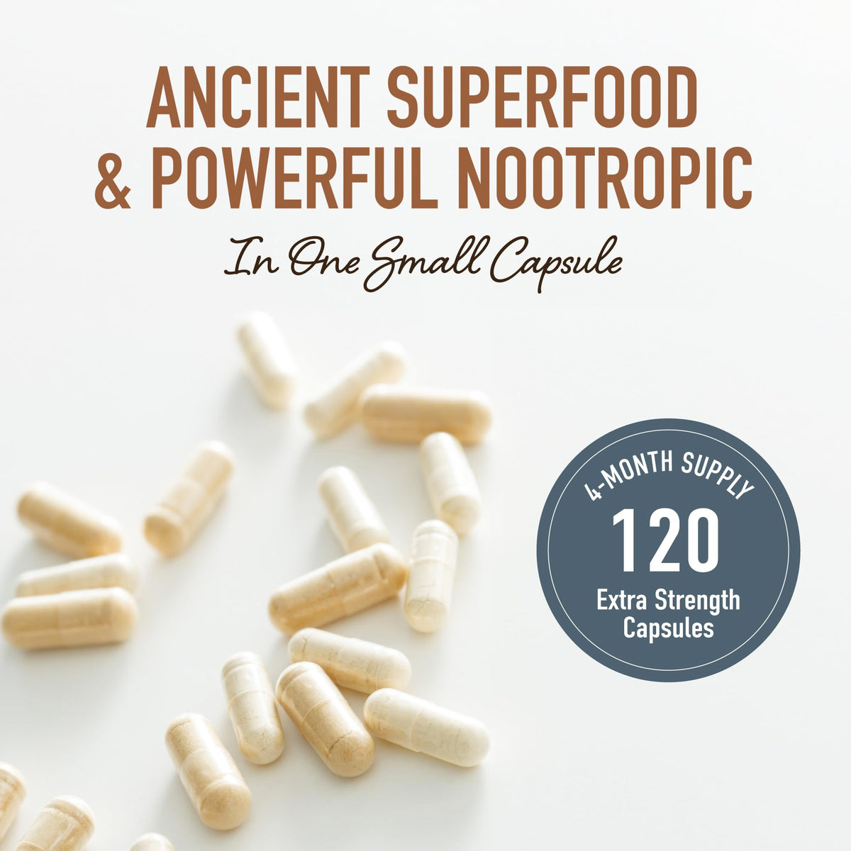 Lion’s Mane Supplement & Nootropic for Mental Clarity | 4 Month Supply | Performance & Memory Support | Antioxidant Rich & Immunomodulating Mushroom | Extra Strength Lions Mane 500mg | Non-GMO 120ct 🍁 All In One Marketplace Canada