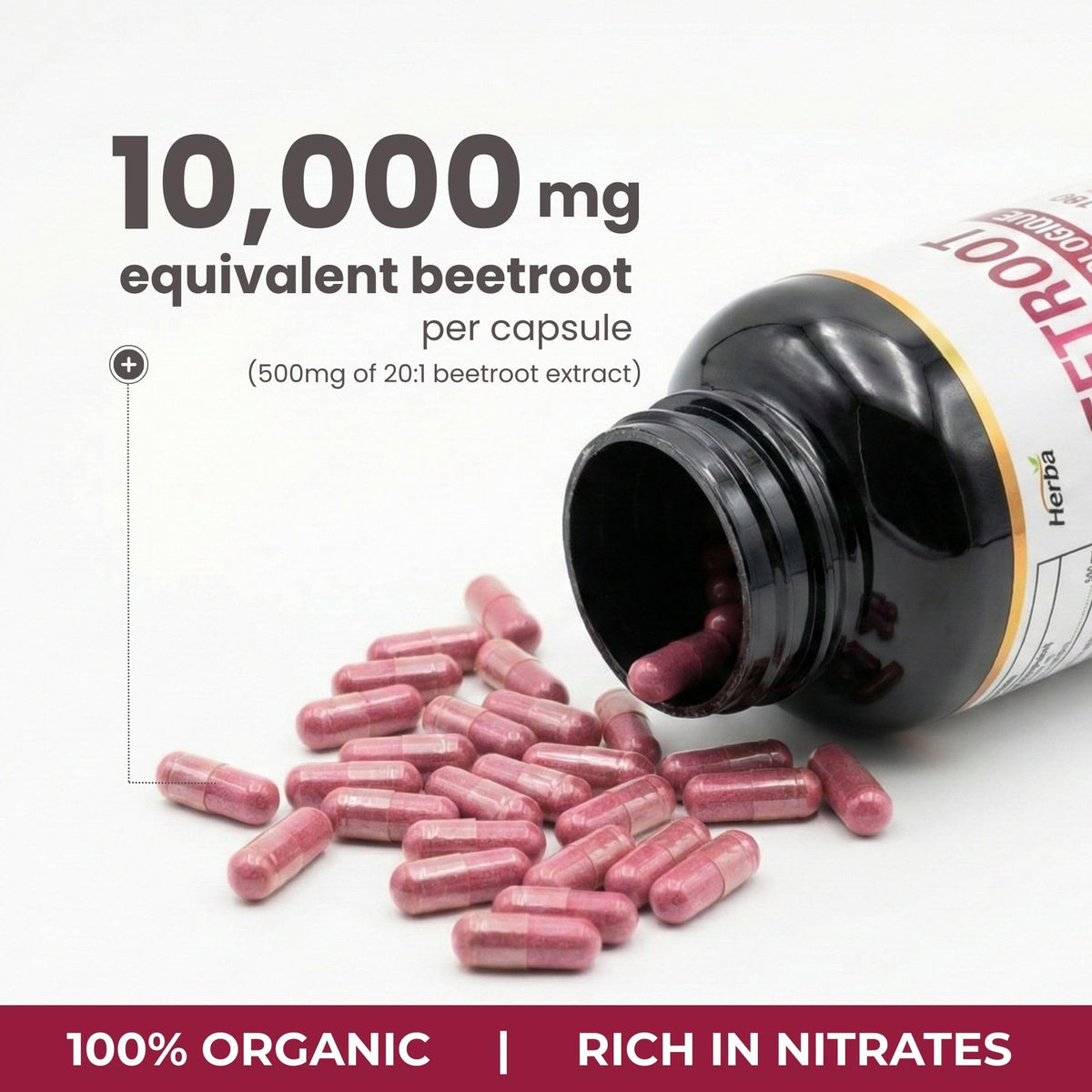 Herba 10,000mg Organic BeetRoot Capsules – 180 Count | 20:1 Beet Root Powder in Capsule | Nitric Oxide Supplements for Men & Women | Made in Canada 🍁 All In One Marketplace Canada