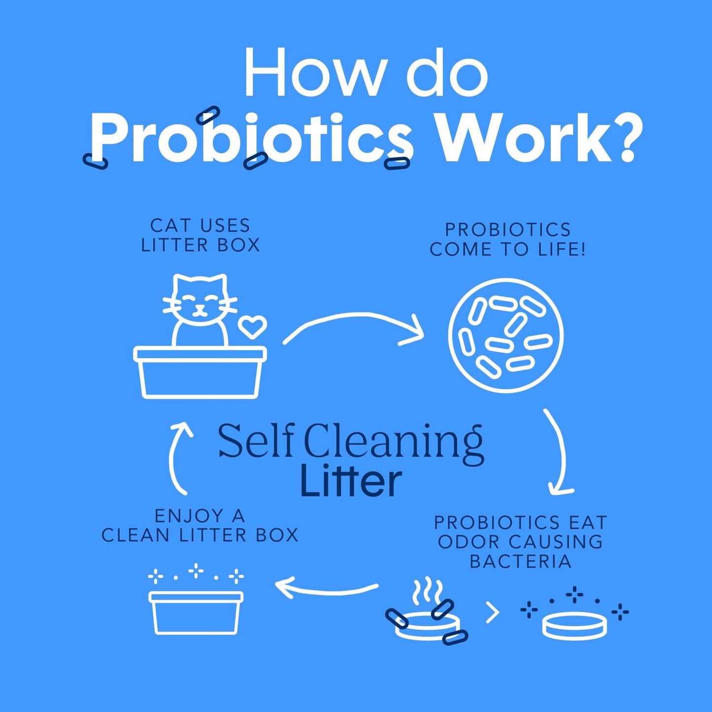 Boxie® Probiotic 40 Day Natural Odor Control Cat Litter, 28lb Clumping Clay Kitty Litter 🍁 All In One Marketplace Canada