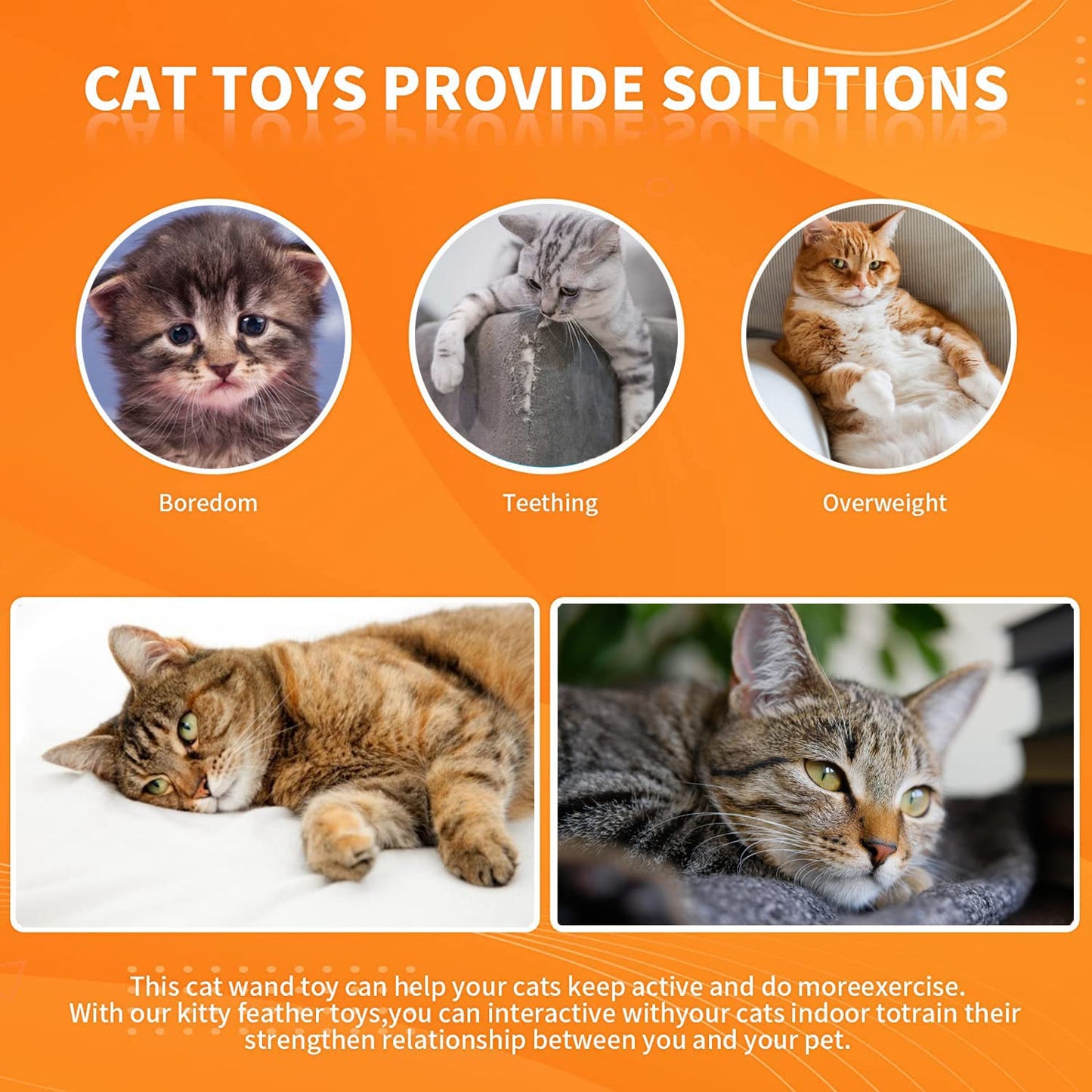 Cat Feather Toys, Cat Toys Wand, Interactive Cat Toy with Super Suction Cup, 2 PCS Cat Wand Toy and 6 PCS Feather Replacements with Bell, Interactive Cat Toy Kitten Toys for Indoor Play Chase Exercise (Natural) 🍁 All In One Marketplace Canada