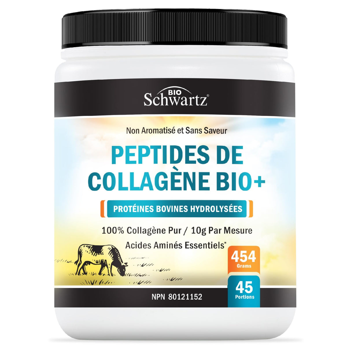 Collagen Peptides Powder | Hydrolyzed Collagen Powder with 18 Essential Amino Acids | Supports Healthy Skin Hair & Nails | Bone & Joint Support | Unflavored, Non GMO, Gluten Free | Easy to Mix | 16 oz 🍁 All In One Marketplace Canada