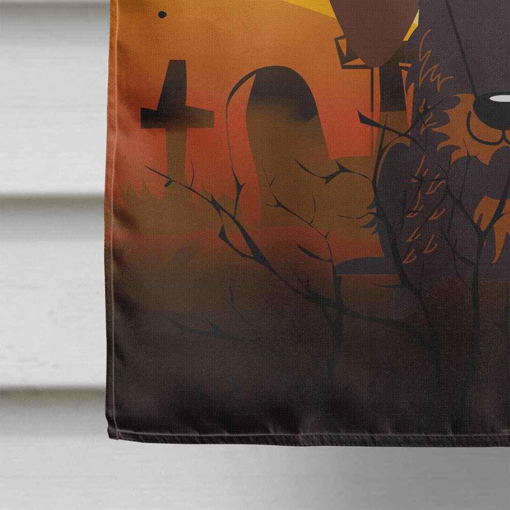 Caroline's Treasures BB4395CHF Halloween Wire Haired Dachshund Chocolate Canvas House Flag, Large, Multicolor
