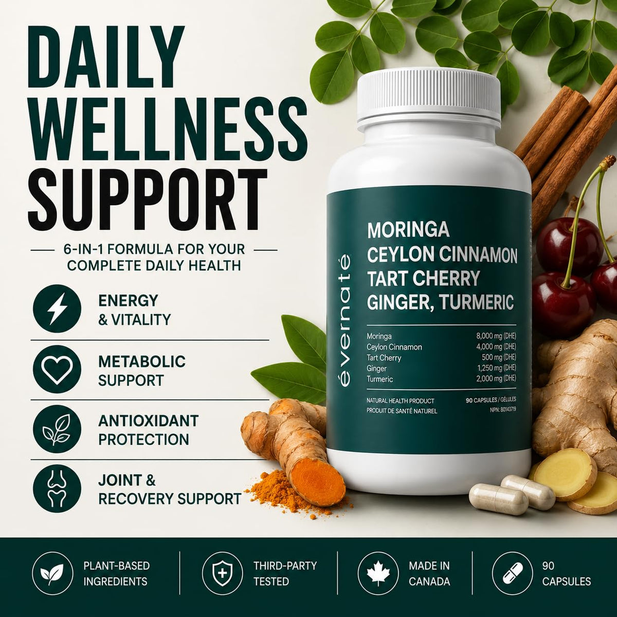 ALL-IN-ONE Moringa 8000 mg with Ceylon Cinnamon 4000 mg, Tart Cherry, Turmeric, Ginger & Garlic (Per Serving: 2 Capsules) – Antioxidant, Detox, Energy & Metabolic Support – Made in Canada 🍁 All In One Marketplace Canada