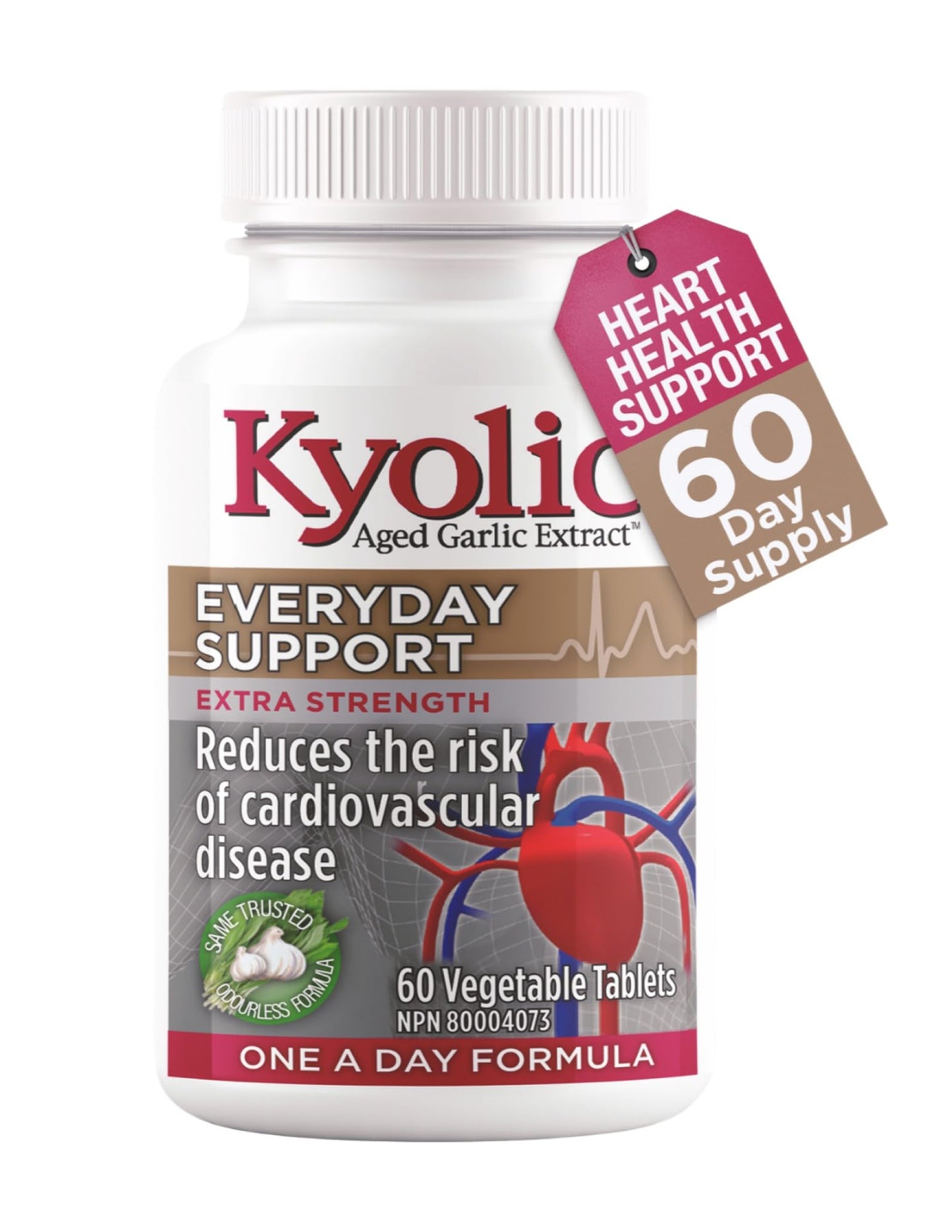 Kyolic - Odourless Aged Garlic Extract Everyday Support Extra Strength One-A-Day 1000mg, 60 Veg Tablets 60-Day Supply - Kyolic Garlic Supplements, Garlic Pills - Herbal Supplement for Wellness Support 🍁 All In One Marketplace Canada
