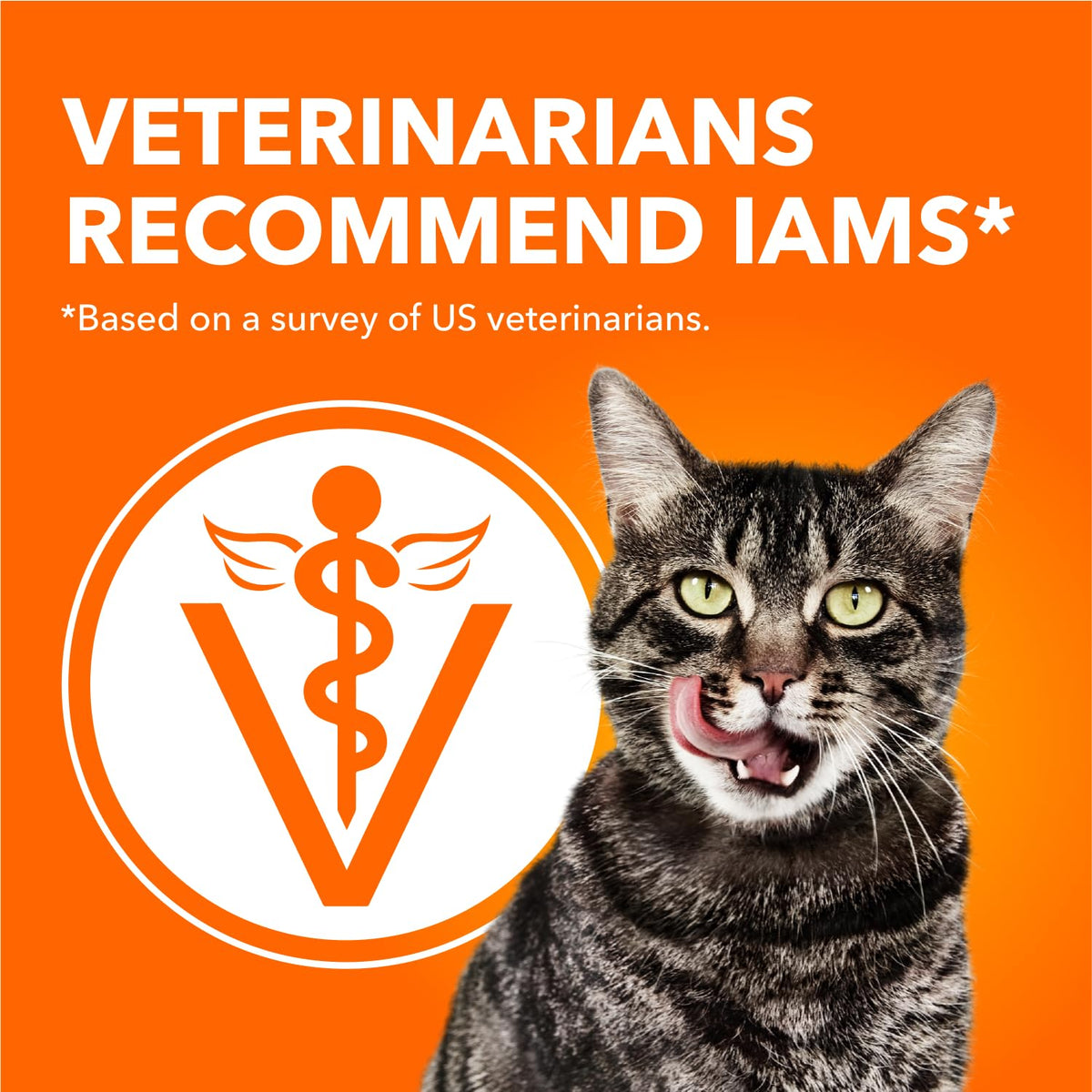 IAMS Proactive Health Indoor Weight & Hairball Care Adult Dry Cat Food – Chicken & Turkey – 3.18KG (7LB) Bag 🍁 All In One Marketplace Canada