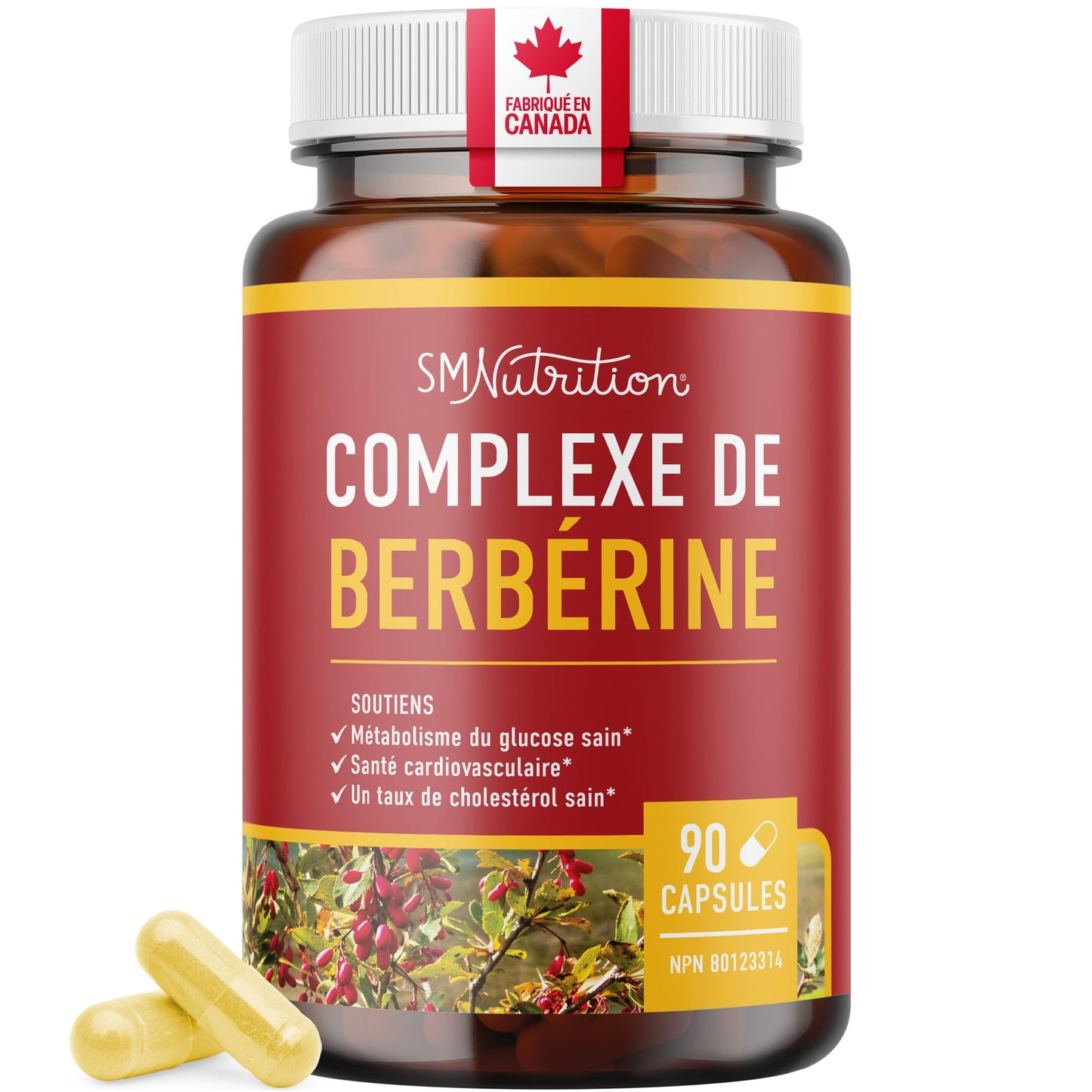 Berberine HCL Supplement | 1000mg | High Potency | Support Glucose Metabolism & Cardiovascular Health | 500mg Per Capsule | With Bitter Melon | Non-GMO, Third-Party Tested | 90 Ct. (45-Day Supply) 🍁 All In One Marketplace Canada