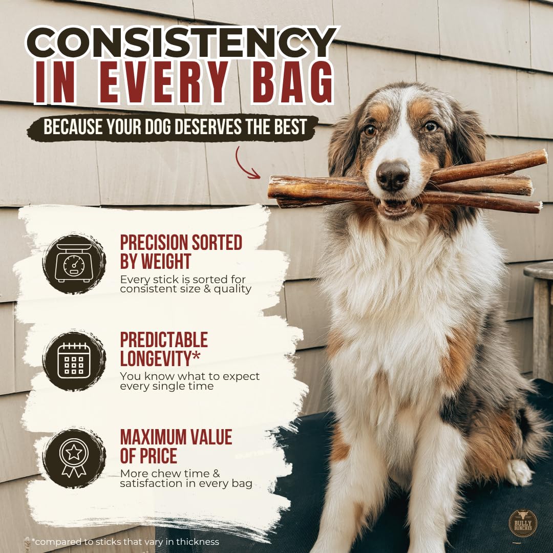 Bully Bunches Premium (6" Standard - 5 Pack) Odour-Free, Consistently Sized Bully Sticks for Small & Medium Dogs & Puppies, Long-Lasting Oral Care Chews, All-Natural Single-Ingredient Beef, No Rawhide 🍁 All In One Marketplace Canada