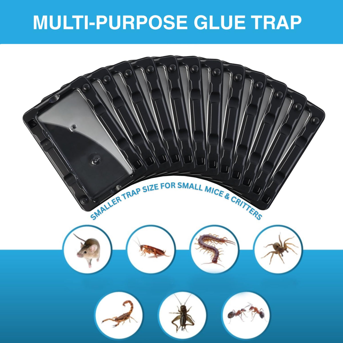 MOUSINATOR Mouse Glue Traps, 12-Pack, Heavier Plastic Glue Trap with Extra-Strong Adhesive for Small Mice, Sticky Mouse Trap for Indoor, Easy & Ready-to-Use 🍁 All In One Marketplace Canada