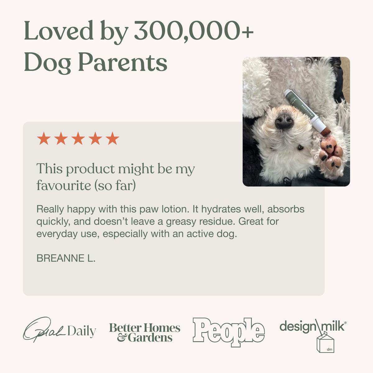 Dandylion Dog Paw Balm, Soft Paws, Paw Moisturizer for Dogs, Dog Lotion with Brush, Fragrance Free pH Balanced Lotion for Paws, Lightweight Moisture for Dry Cracked Paw Pads and Nose, 0.6 fl oz 🍁 All In One Marketplace Canada