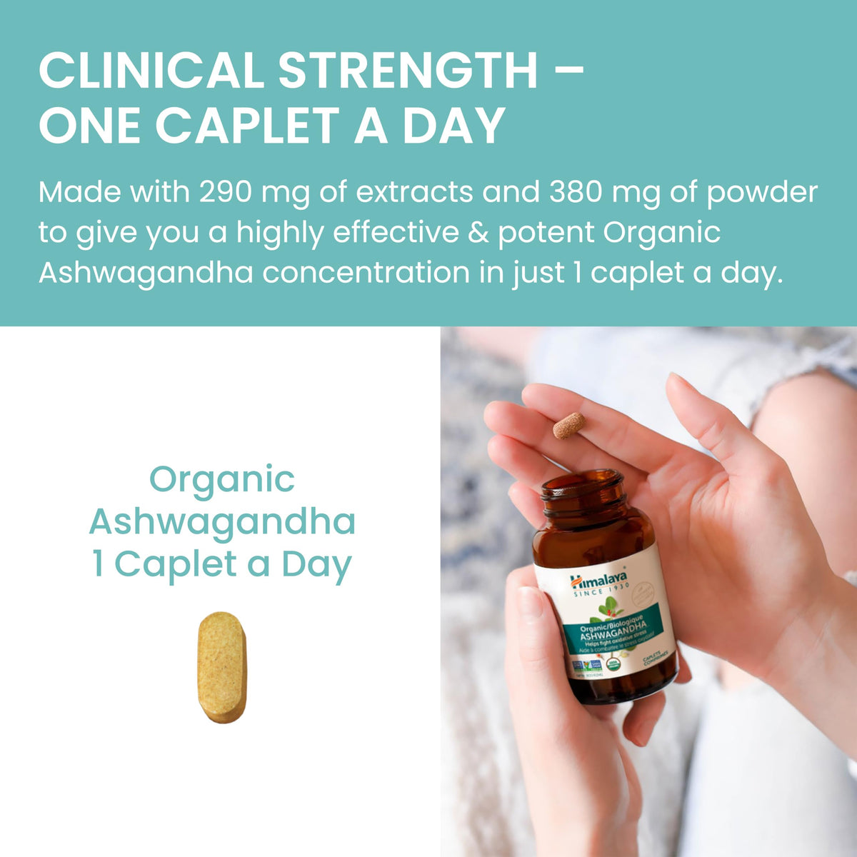 Himalaya Organic Ashwagandha, USDA Certified Organic, Non-GMO, Gluten Free Supplement, 100% Ashwagandha Powder & Extract. (90 Count) 🍁 All In One Marketplace Canada