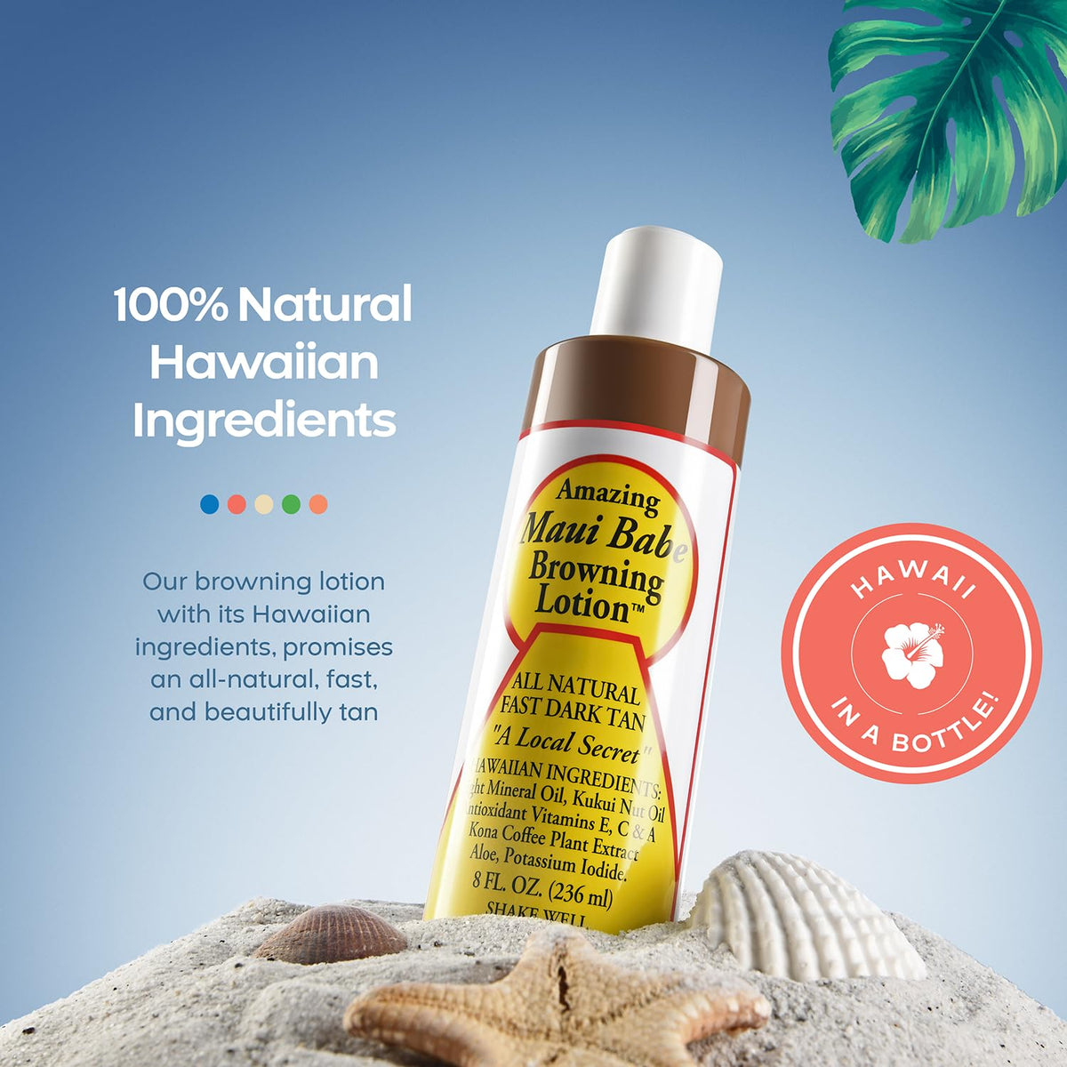 Maui Babe Browning Lotion, 8-Fluid Ounce 🍁 All In One Marketplace Canada
