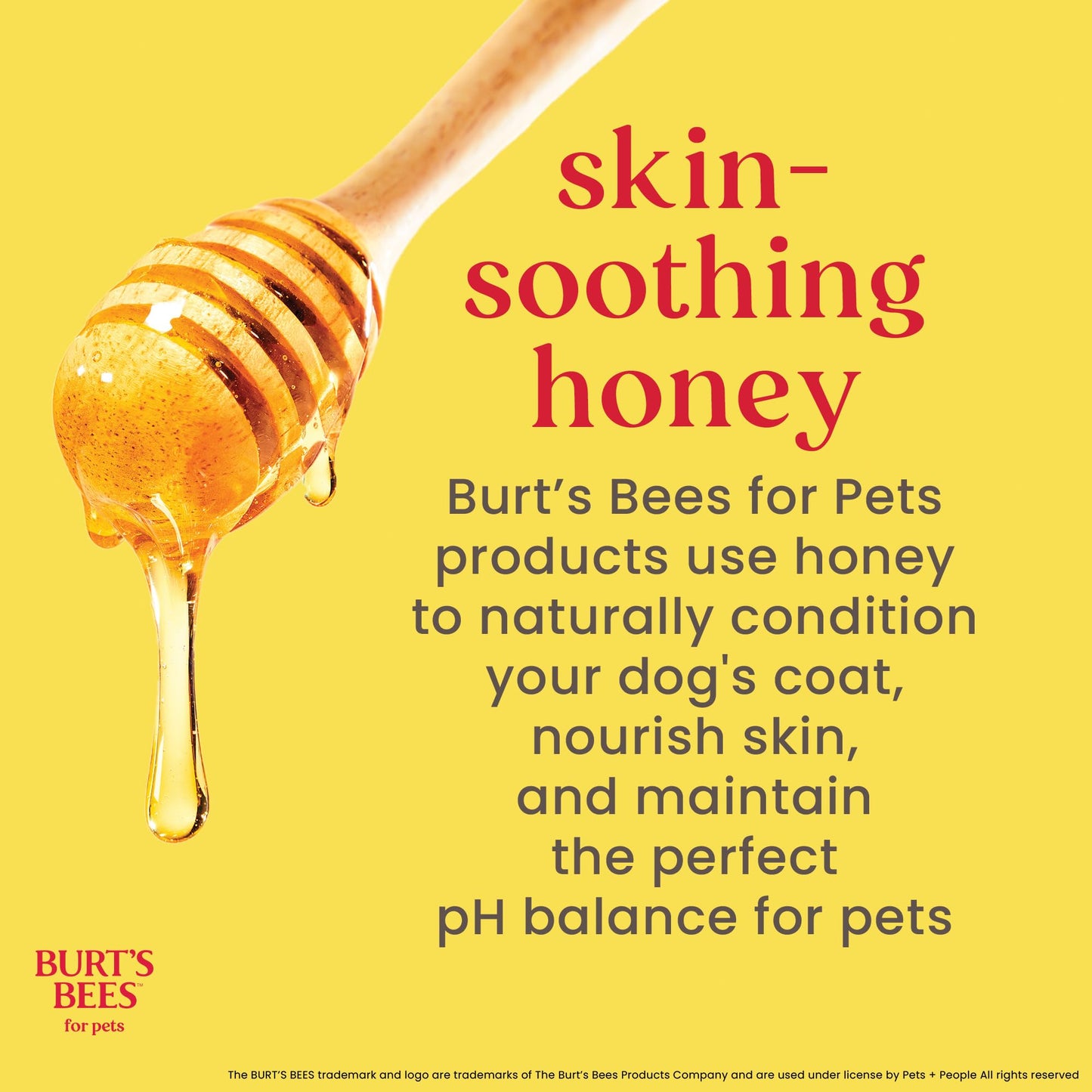 Burt's Bees for Puppies Natural Tearless 2 in 1 Shampoo and Conditioner | Made with Buttermilk and Linseed Oil | Best Tearless Puppy Shampoo for Gentle Skin and Coat | Made in USA, 16 Oz 🍁 All In One Marketplace Canada