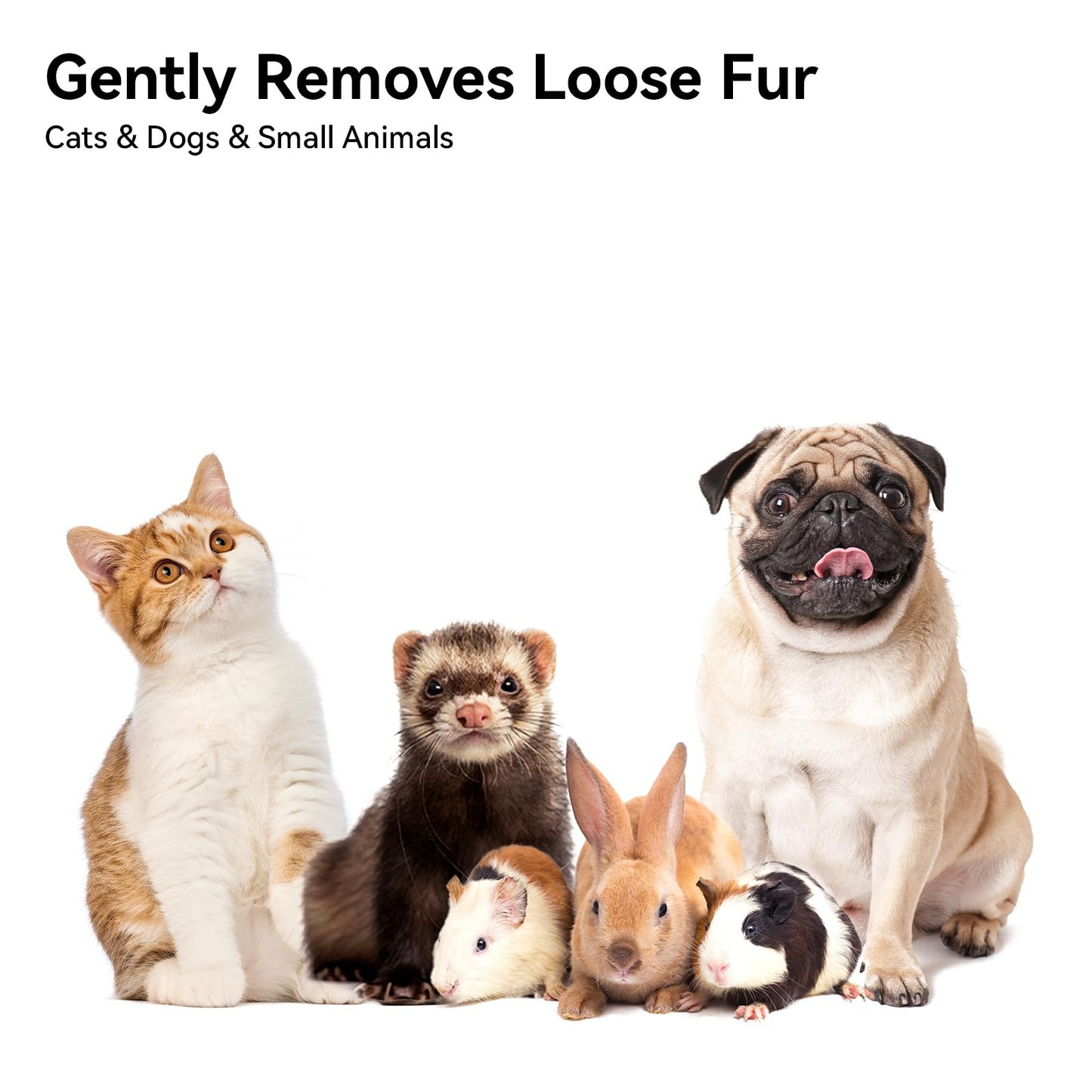 aumuca Cat Brush Dog Brush for Shedding, Cat Brushes for Long or Short Haired Cats, Dog Hair Brush Cat Grooming Brush Cat Comb Cat Deshedding Brush Easily Removes Mats, Tangles, and Loose Fur, White 🍁 All In One Marketplace Canada