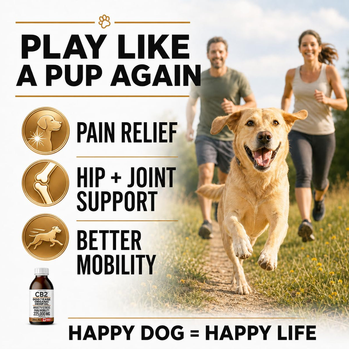 CB2 Hemp Oil for Dogs [225,000mg / 240mL / Organic] - Natural Hip and Joint Supplement for Dogs - Calming Anxiety Relief - Extra Strength for Pain, Inflammation, Arthritis, Stress, Aggression 🍁 All In One Marketplace Canada