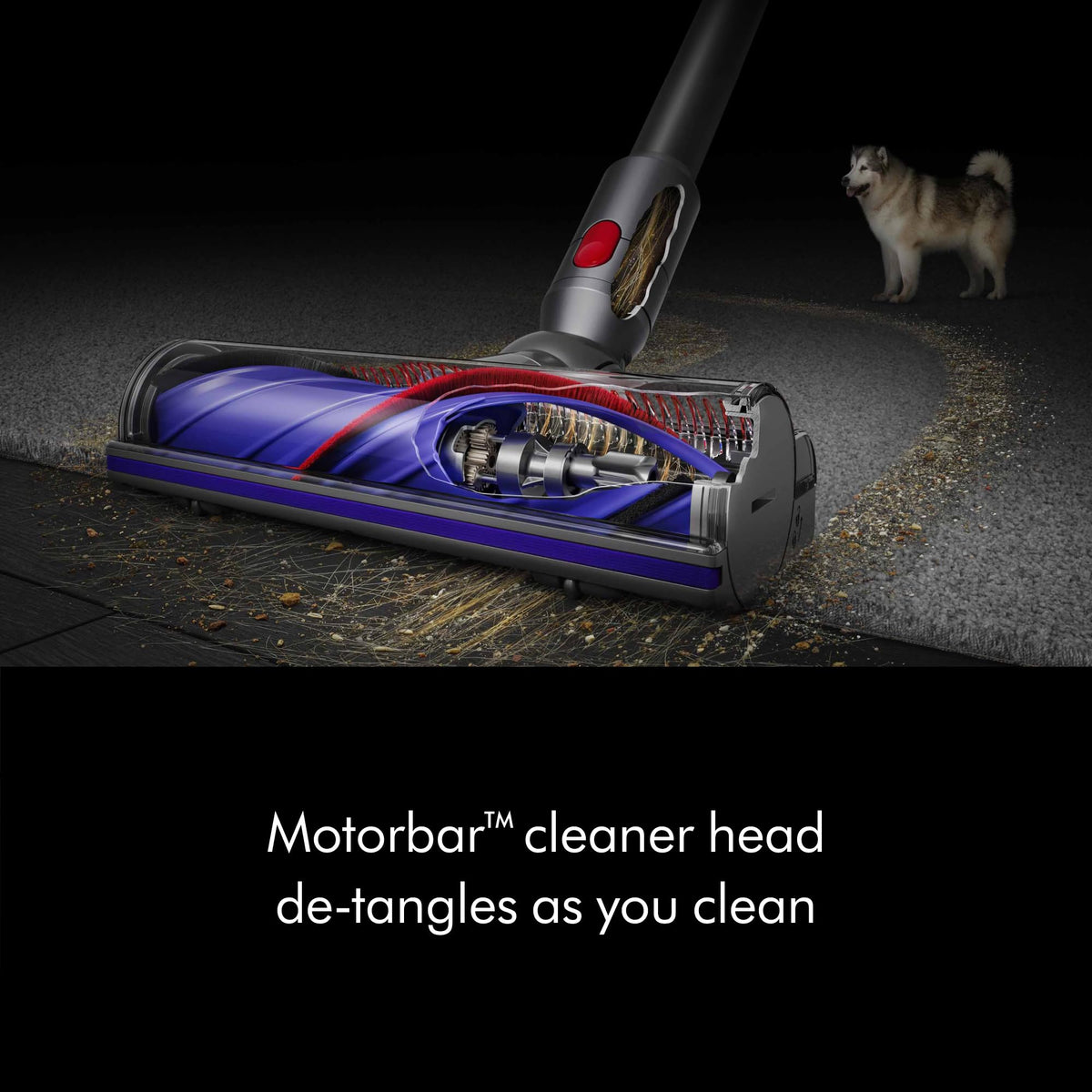 Dyson V8 Plus Cordless Vacuum 🍁 All In One Marketplace Canada
