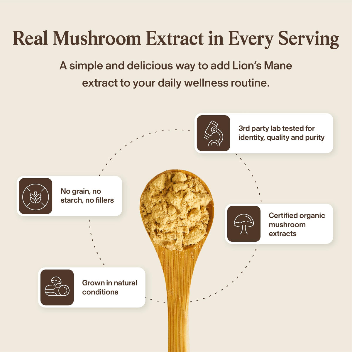 Real Mushrooms Lions Mane Capsules- Organic Mushroom Extract With Immunomodulating Properties Antioxidants - Vegan Supplement, 300 Capsules 🍁 All In One Marketplace Canada