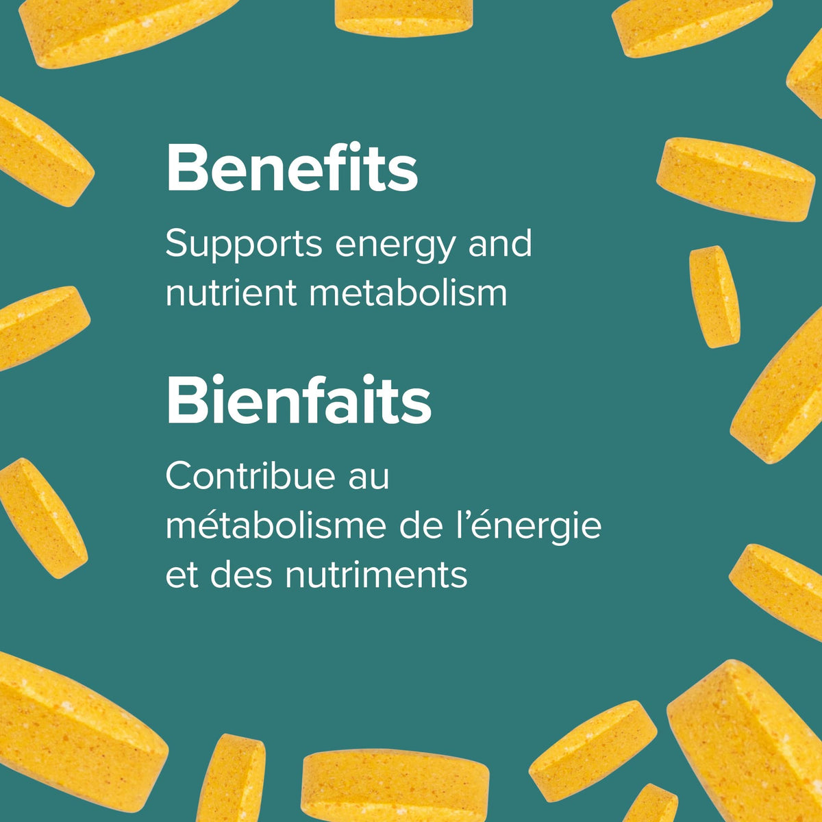 Webber Naturals Vitamin B50 Complex, Timed Release, 220 Tablets, Supports Energy Production and Metabolism, Vegan 🍁 All In One Marketplace Canada