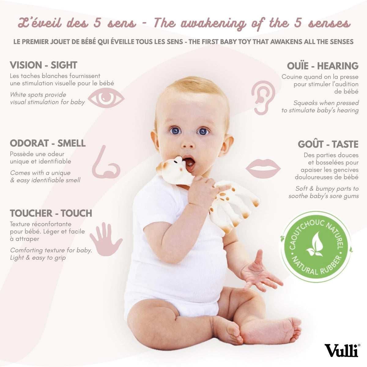 Sophie la Girafe - So Pure Box - Original Baby Teething Toy 100% Natural Rubber - BPA-Free, Non-Toxic, Vegan, Sensory Stimulating Teether for Newborns 0+ Months - 616331 🍁 All In One Marketplace Canada