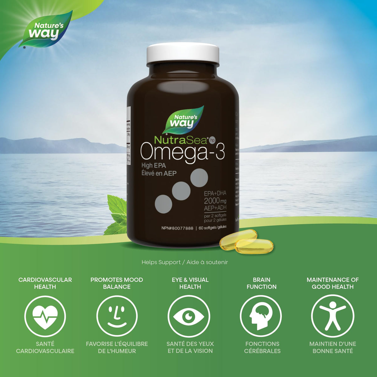 Nature's Way NutraSea HP Omega 3 Extra Strength Supplement with Fish Oil – Fresh Mint Flavour – Heart & Brain Support for Adults and Kids 9+ – 60 Softgels 🍁 All In One Marketplace Canada