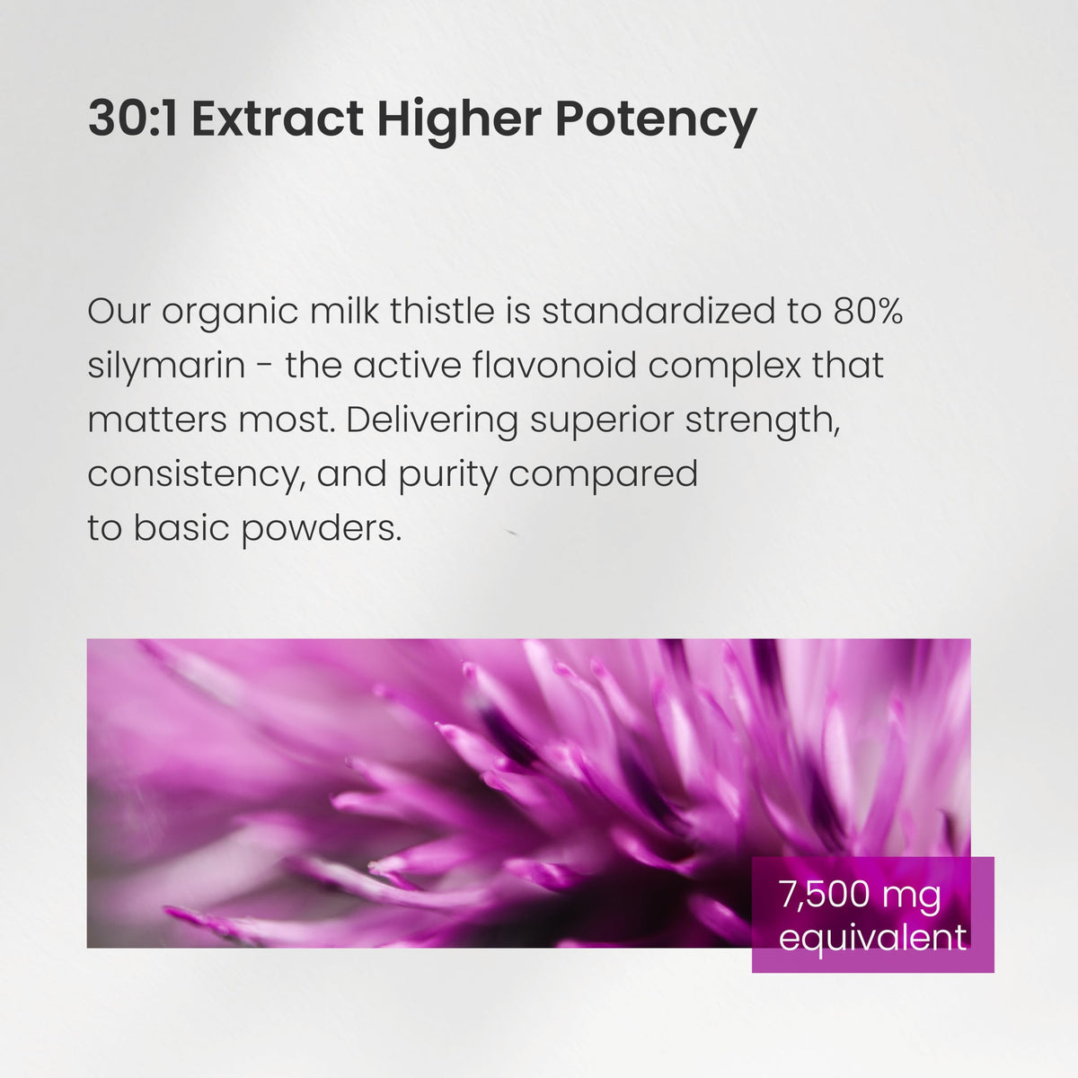 Milk Thistle Capsules – High Potency 30:1 Extract (7,500 mg Equivalent) with 80% Silymarin – Premium Liver Support Supplement for Healthy Flush & Detox – Vegan, Non-GMO – 180 Count 🍁 All In One Marketplace Canada