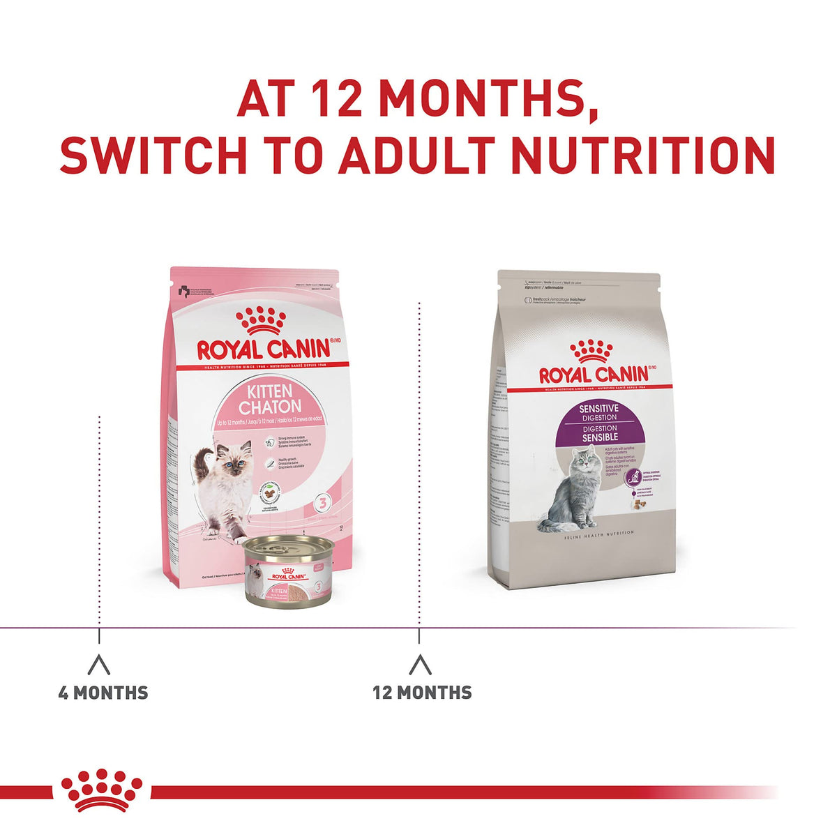 Royal Canin Feline Health Nutrition Sensitive Digestion Cat Food Dry Formula, Balanced Nutrition to Support Digestive Health, 7 lb Bag 🍁 All In One Marketplace Canada