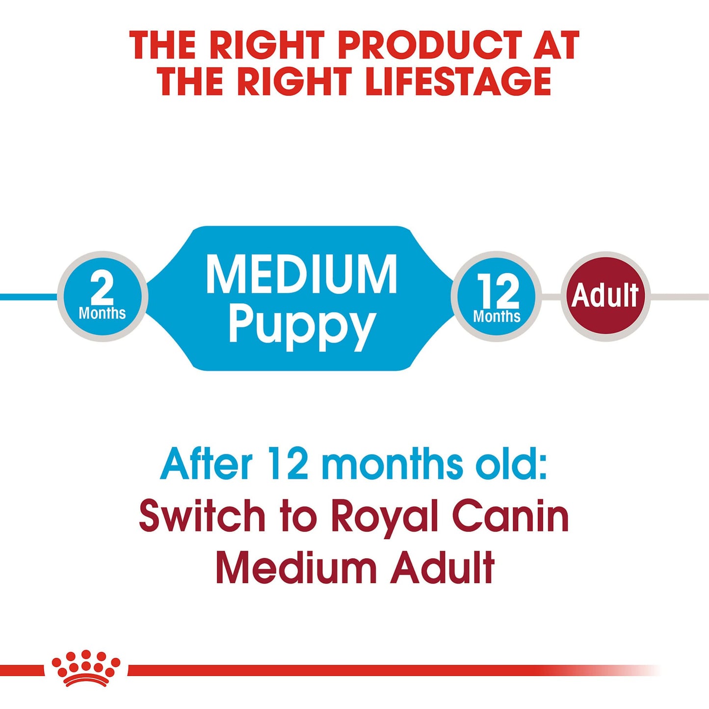 Royal Canin Size Health Nutrition Medium Puppy Dry Dog Food, 4 lb 🍁 All In One Marketplace Canada