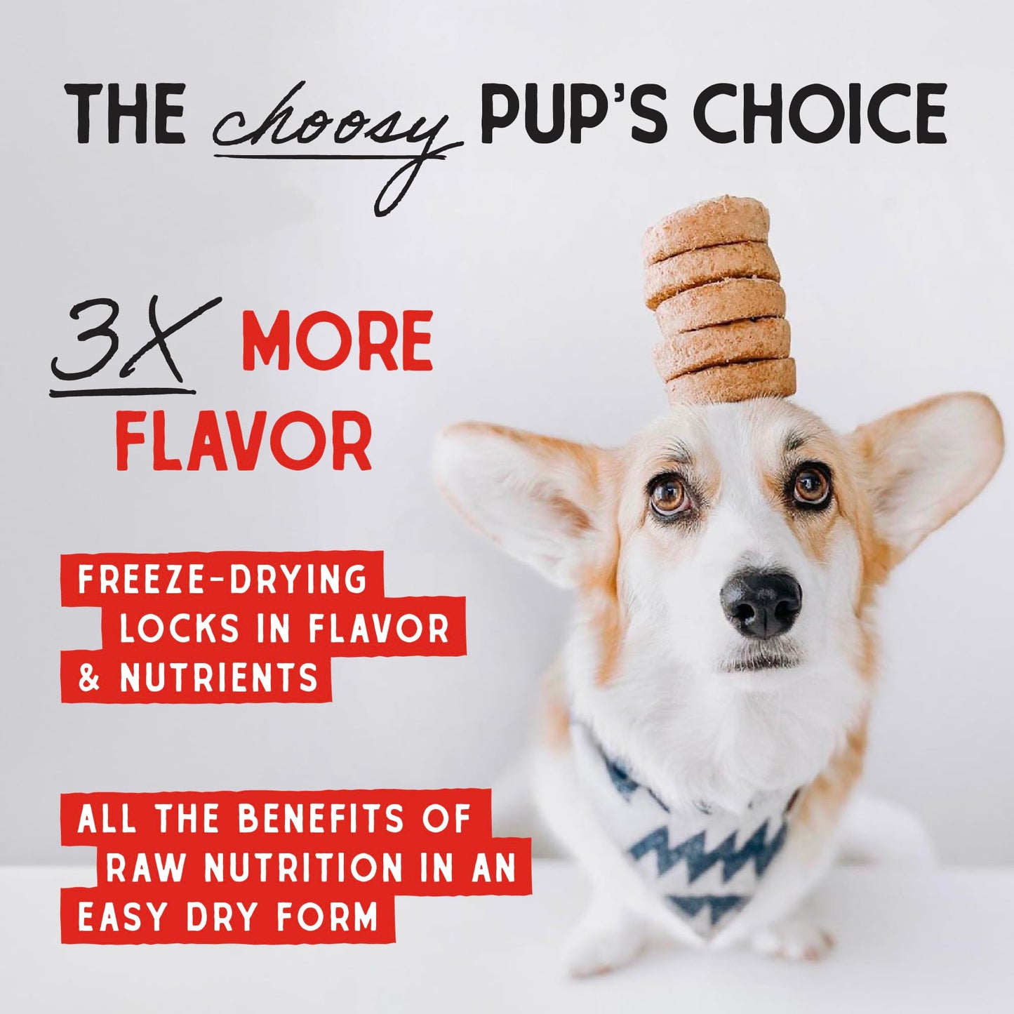 Stella & Chewy’s Freeze Dried Raw Dinner Patties – Grain Free Dog Food, Protein Rich Chewy’s Chicken Recipe – 708g Bag 🍁 All In One Marketplace Canada