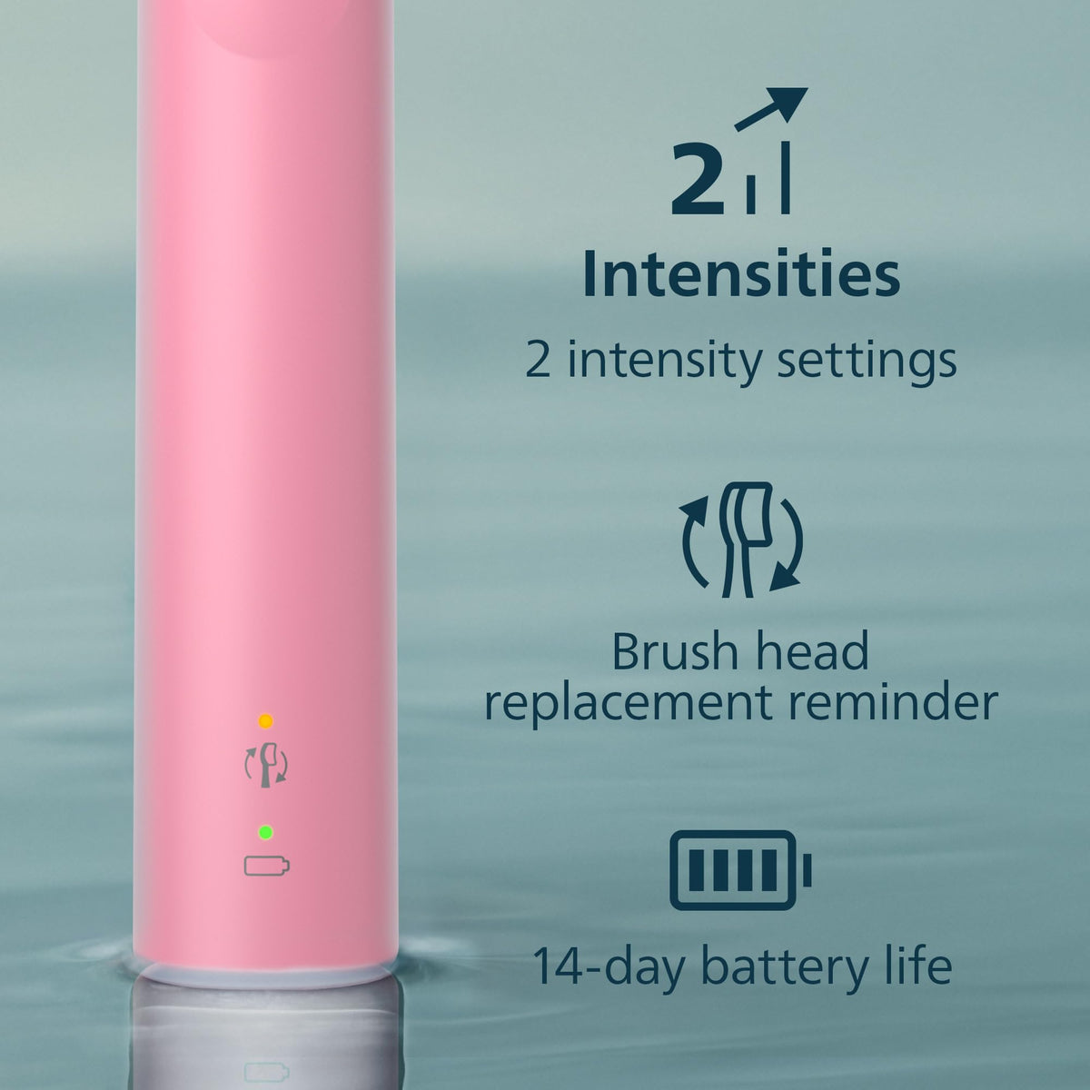 Philips Sonicare 4900 Rechargeable Electric Toothbrush, 1 Brush Head, Pink 🍁 All In One Marketplace Canada