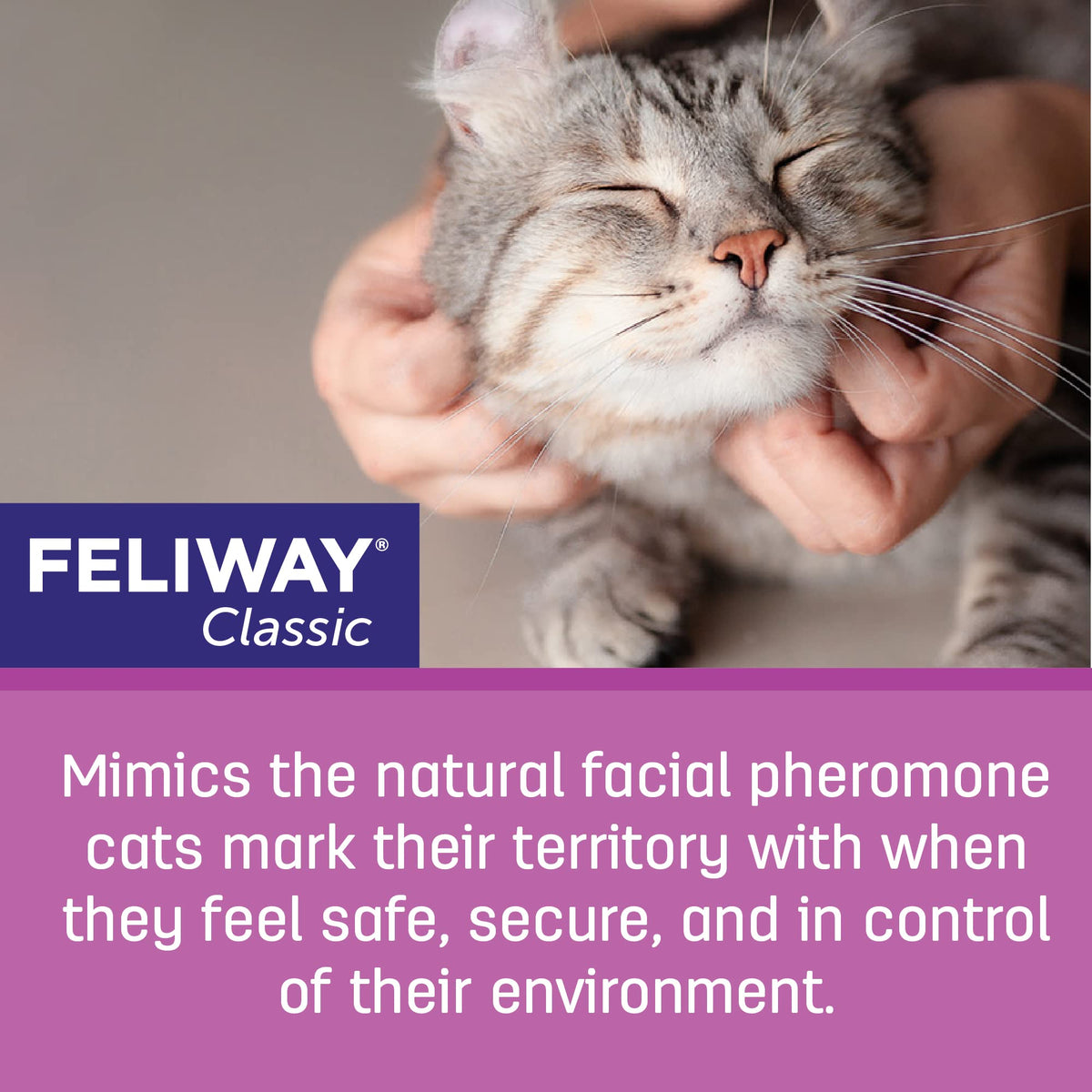 FELIWAY Classic Starter Kit, Promotes Calmness in Cats & Kittens, VHP Registered NN.P4B8, includes 1 Diffuser and 1 Refill, Lasts 30 Days, Cat Calming Pheromones, 48ml 🍁 All In One Marketplace Canada