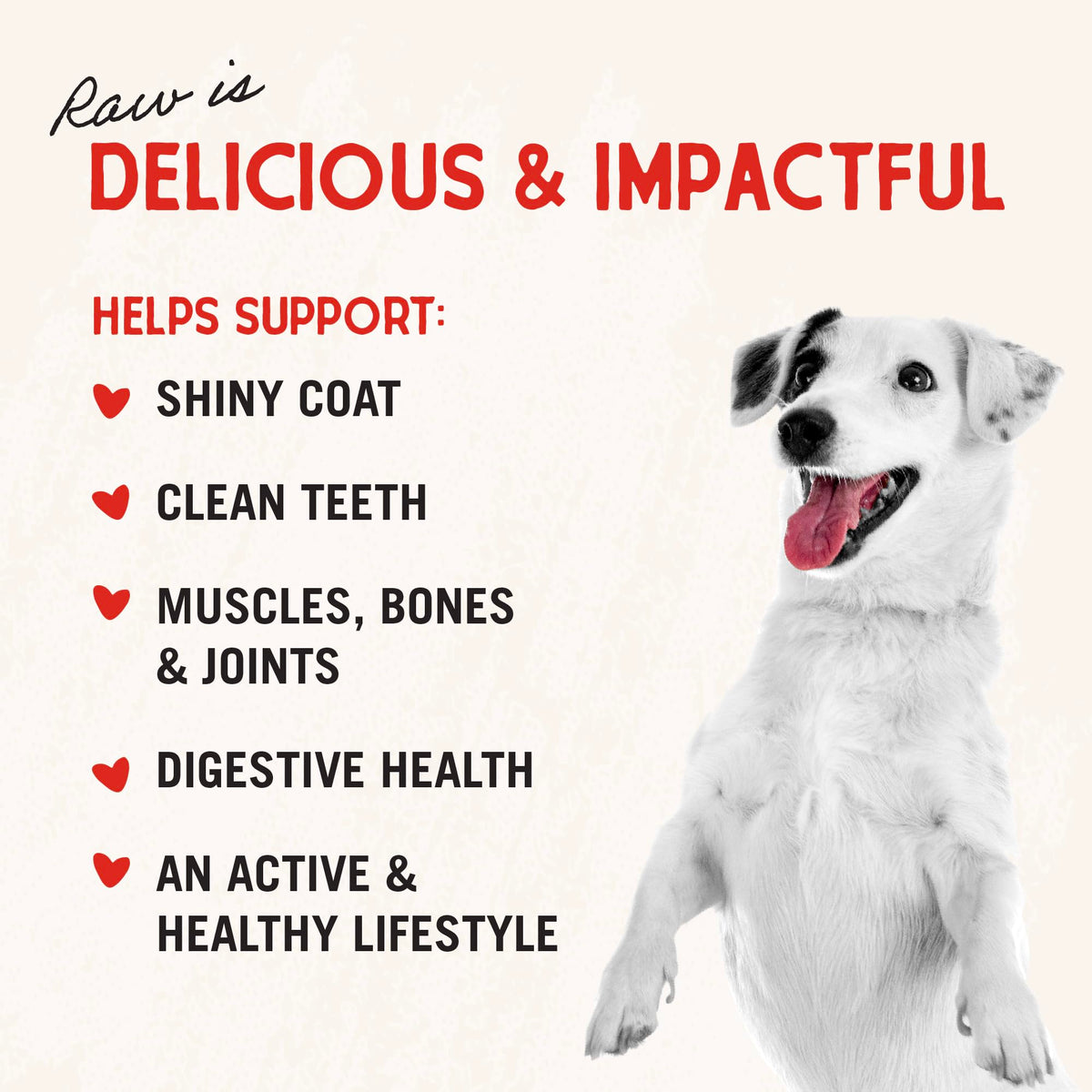 Stella & Chewy’s Freeze Dried Raw Dinner Patties – Grain Free Dog Food, Protein Rich Chewy’s Chicken Recipe – 708g Bag 🍁 All In One Marketplace Canada