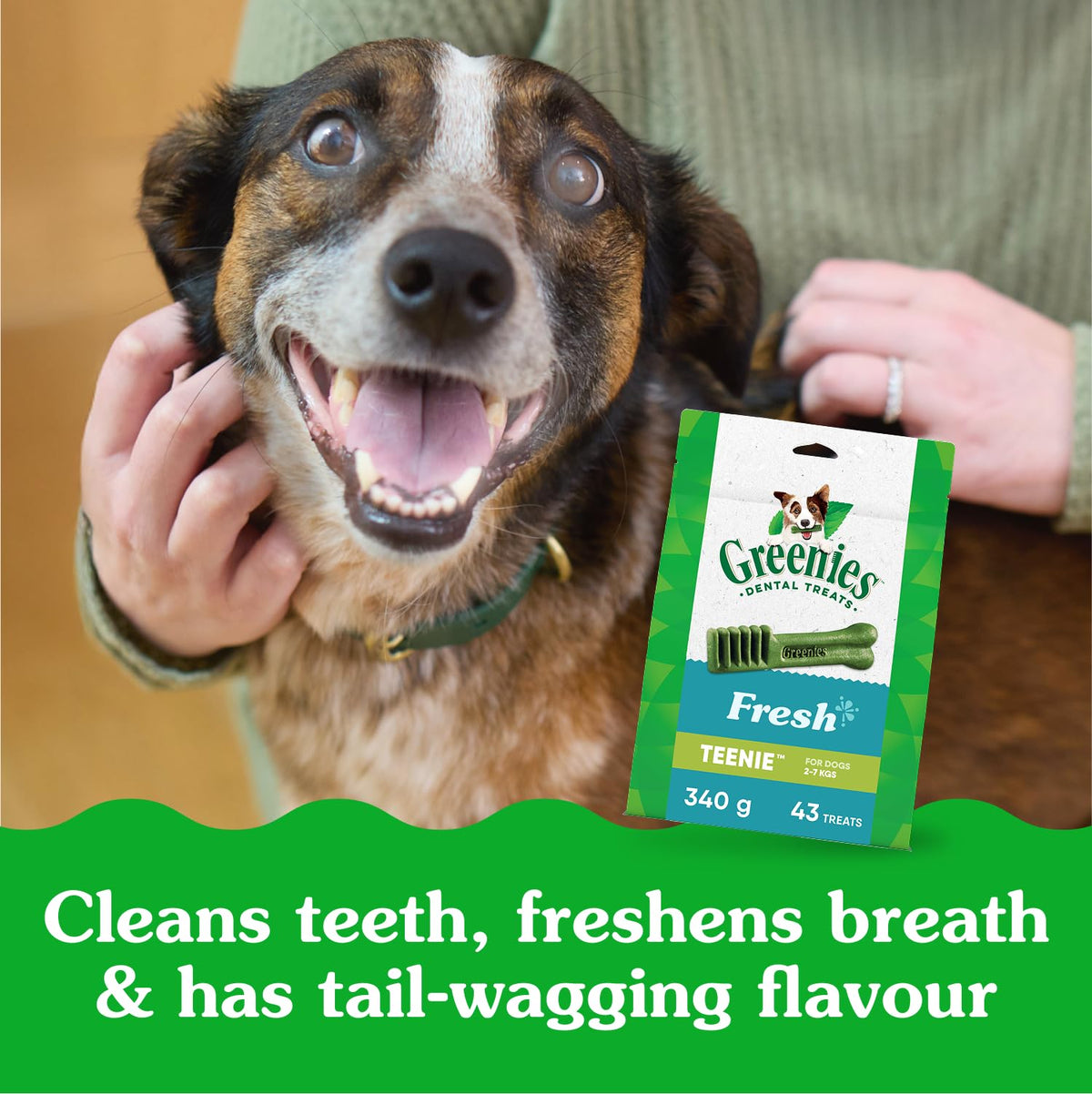 GREENIES Dog Treats Fresh Teenie Natural Dental Care, (43 Treats) 12oz. Pack 🍁 All In One Marketplace Canada