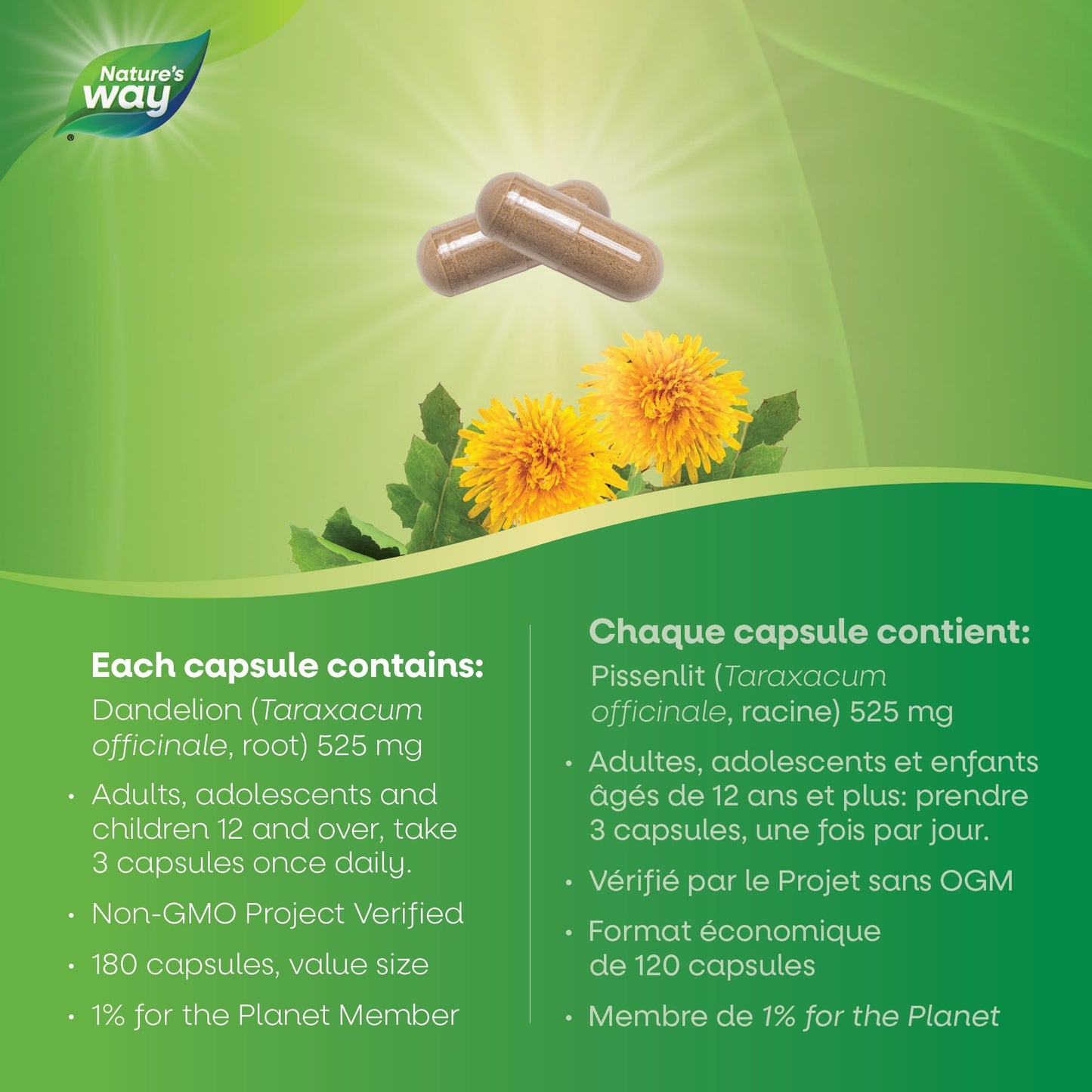 Nature's Way Dandelion Root - Digestion Supplement – Diuretic Laxative - Non-GMO Verified - 180 Vegetarian Capsules, Value Size 🍁 All In One Marketplace Canada