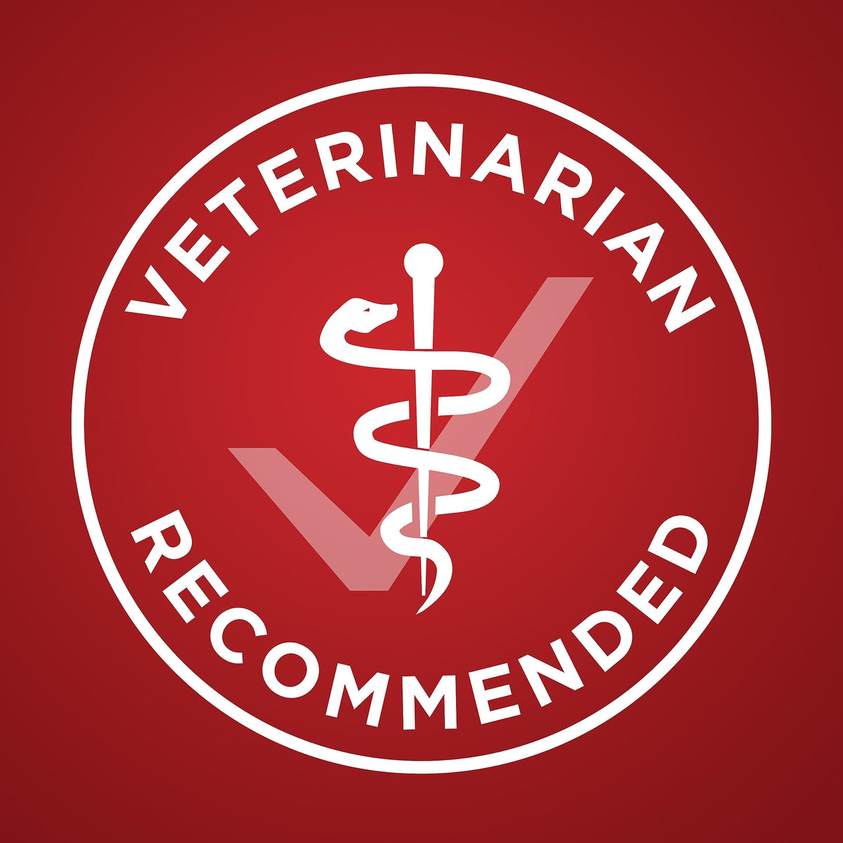 Purina ONE Dry Dog Food, Microbiome Balance with Lamb & Rice 3.63kg 🍁 All In One Marketplace Canada