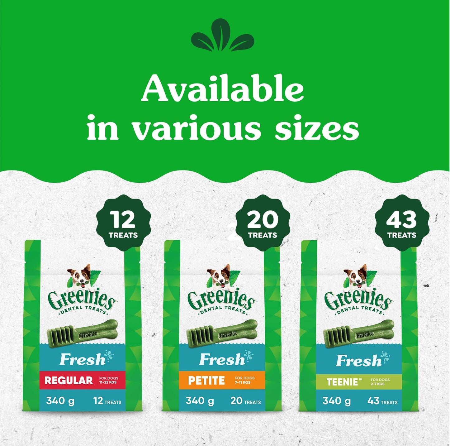 GREENIES Dog Treats Fresh Teenie Natural Dental Care, (43 Treats) 12oz. Pack 🍁 All In One Marketplace Canada