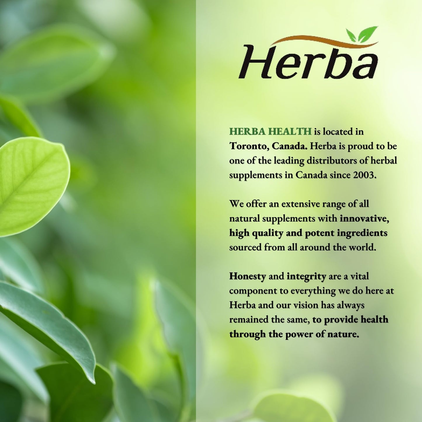 Herba Turmeric Supplements for Inflammation with Black Pepper and Ginger - 180 Capsules | 5,555mg Equiv. with 95% Turmeric Curcumin Supplements with Black Pepper | Joint Pain Relief | Made in Canada 🍁 All In One Marketplace Canada