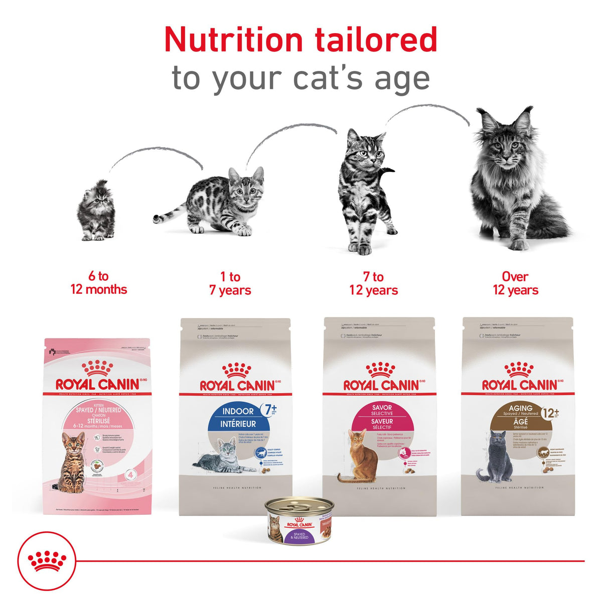 Royal Canin Appetite Control Spayed/Neutered 12+ Dry Adult Cat Food, 7 lb Bag 🍁 All In One Marketplace Canada
