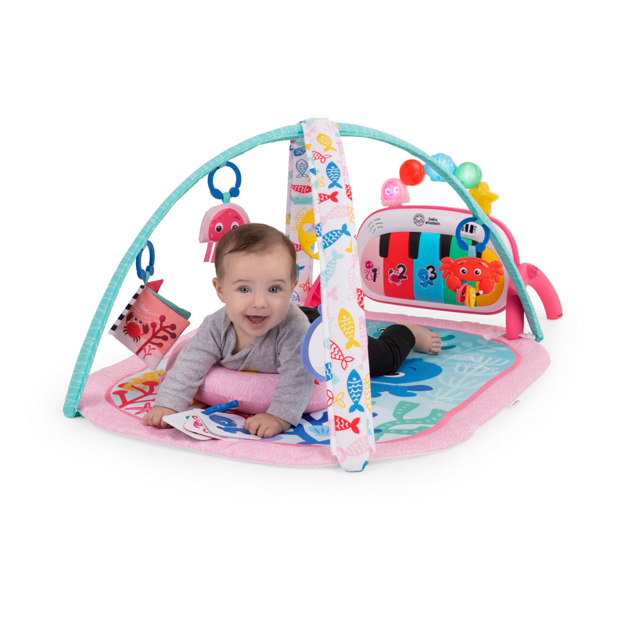 Baby Einstein Ocean Explorers 4-in-1 Kickin’ Tunes Jellyfish Jamboree Music & Language Discovery Gym, Pink, Ages 0 Months and Up 🍁 All In One Marketplace Canada