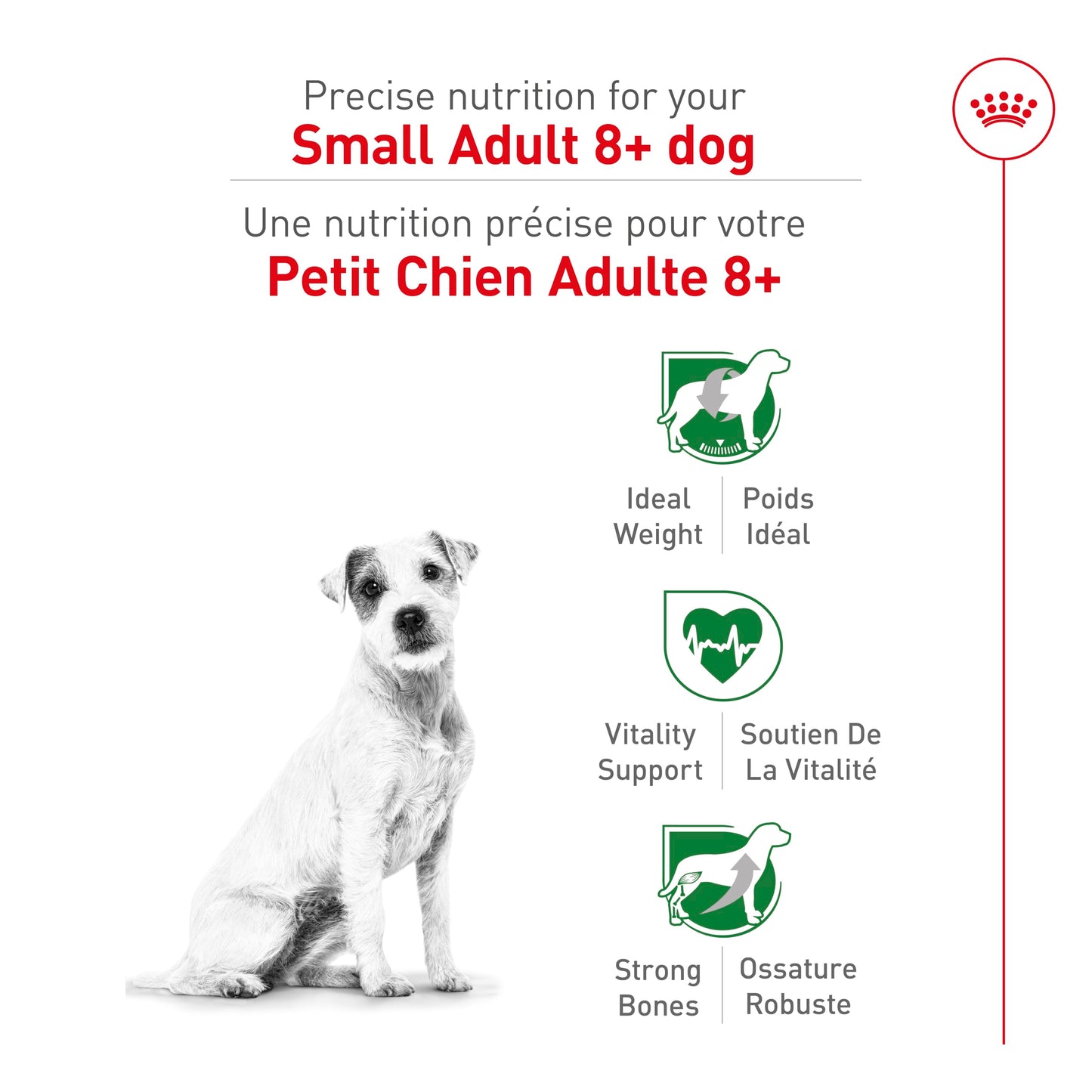 Royal Canin Small Adult 8+ Dry Dog Food, 2.5 lb bag 🍁 All In One Marketplace Canada